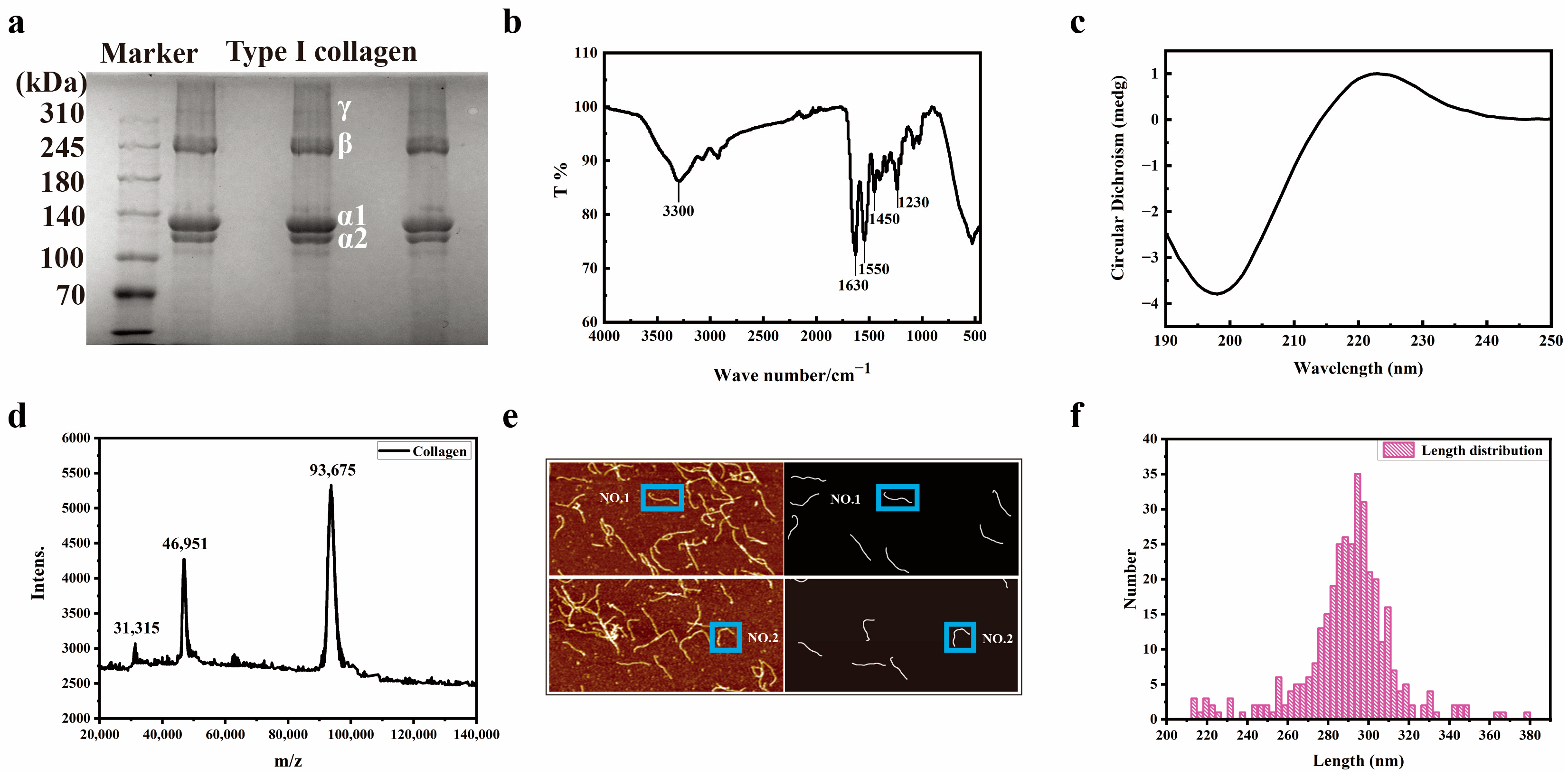 Biomolecules 15 00220 g001