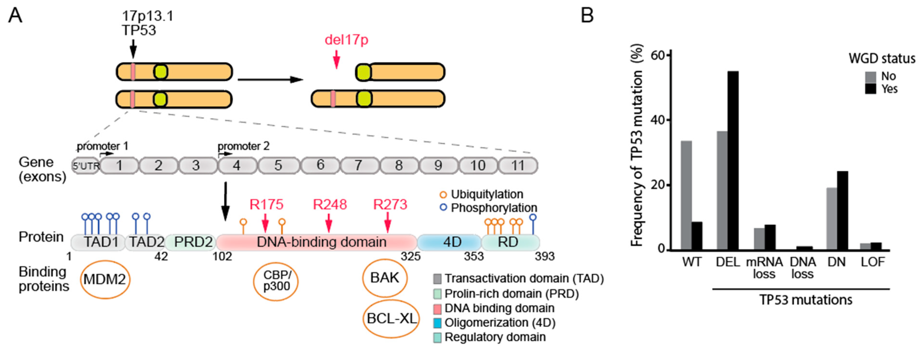 Biomolecules 15 00244 g002