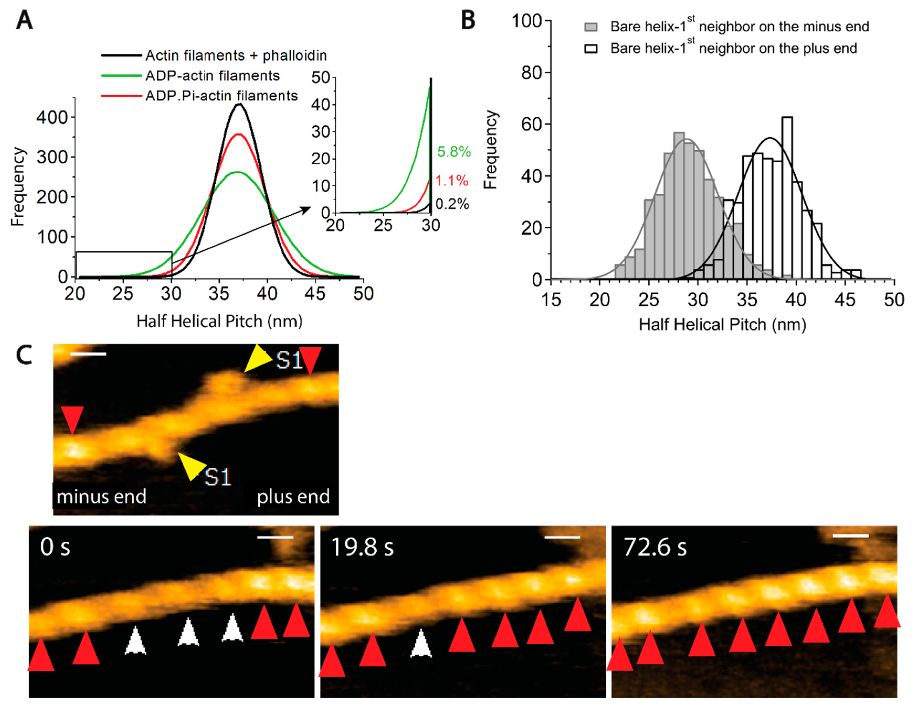 Biomolecules 15 00279 g004