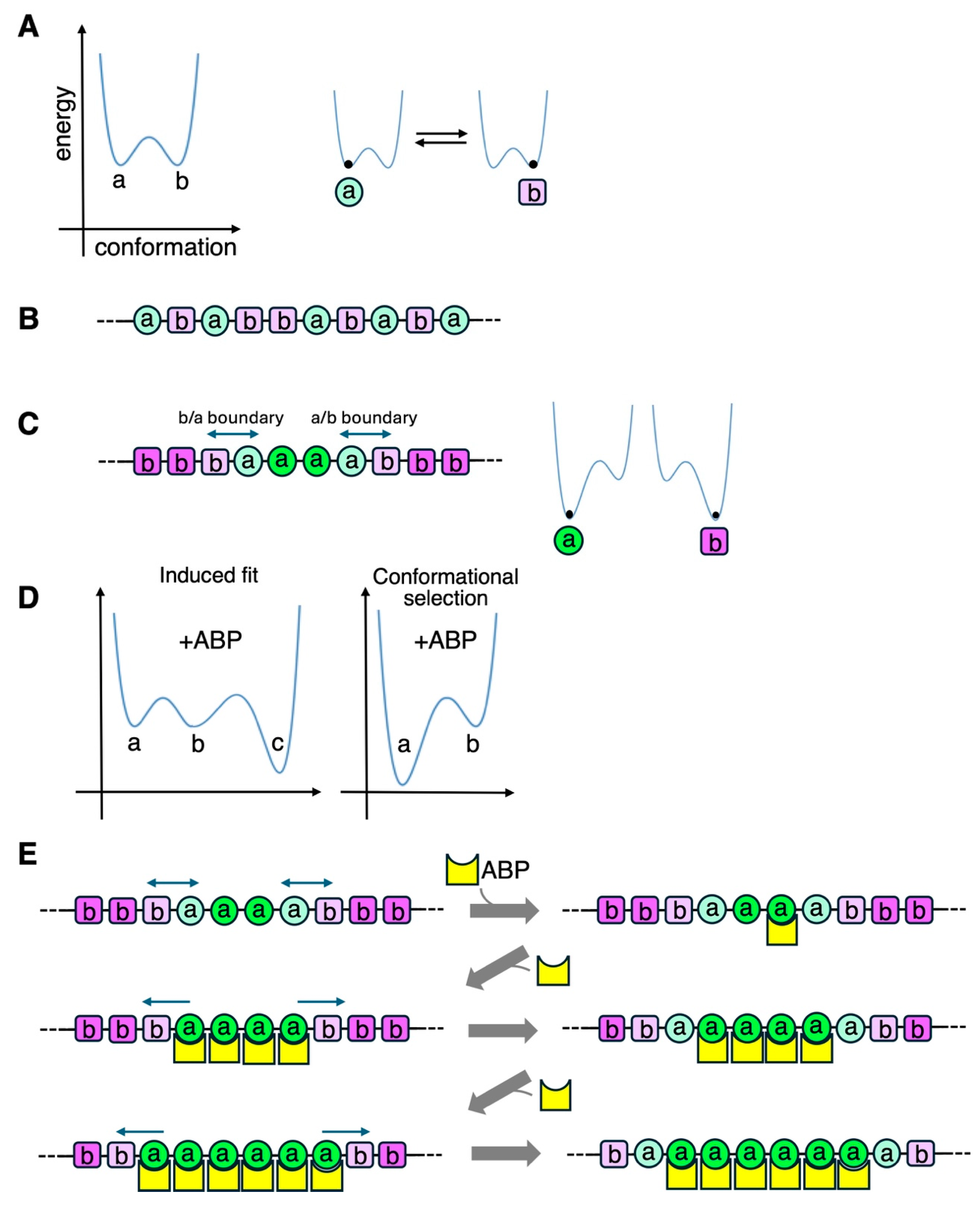 Biomolecules 15 00279 g005