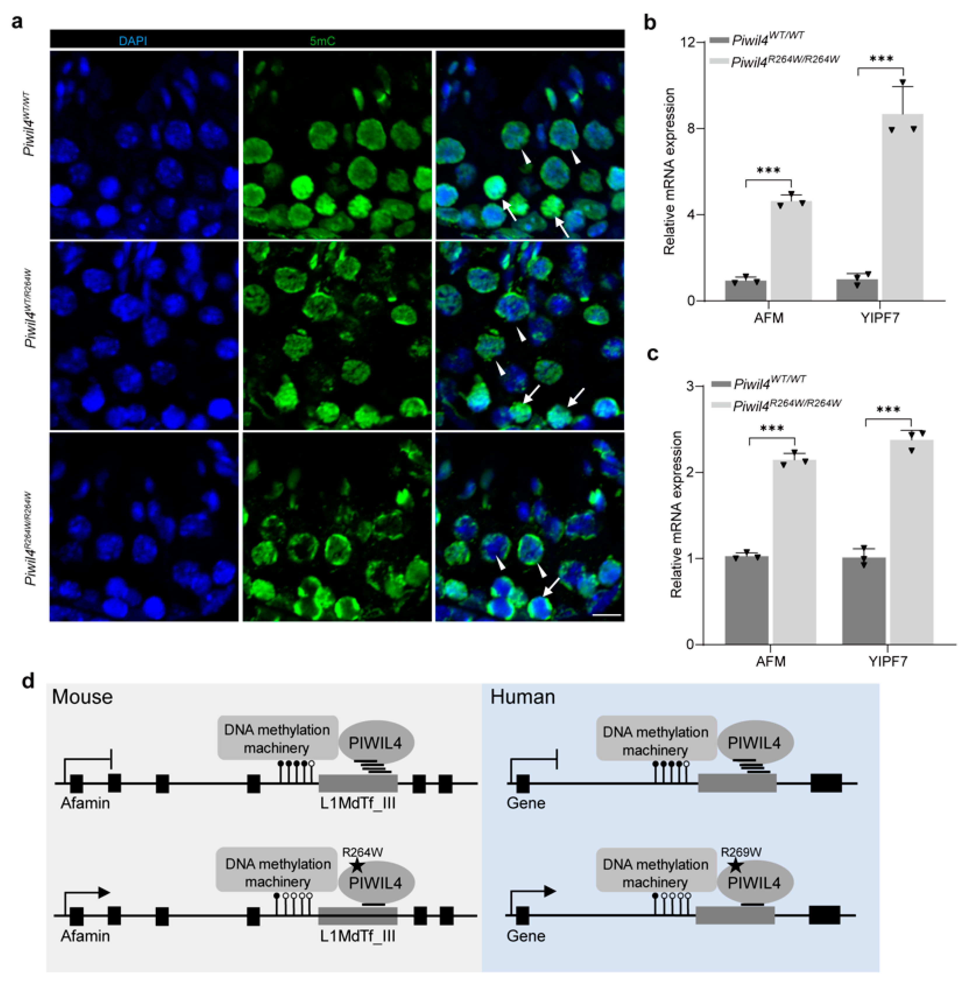 Biomolecules 15 00297 g005