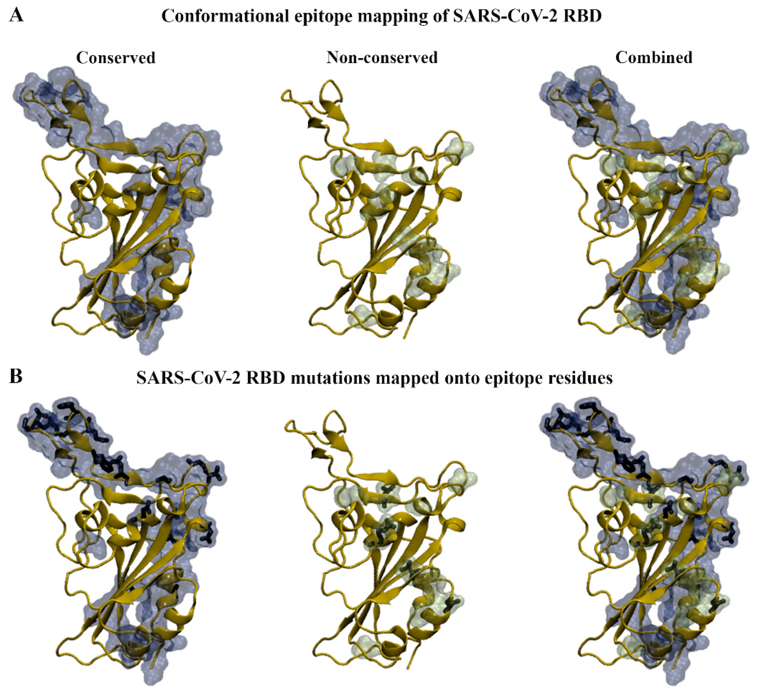 Biomolecules 15 00301 g004