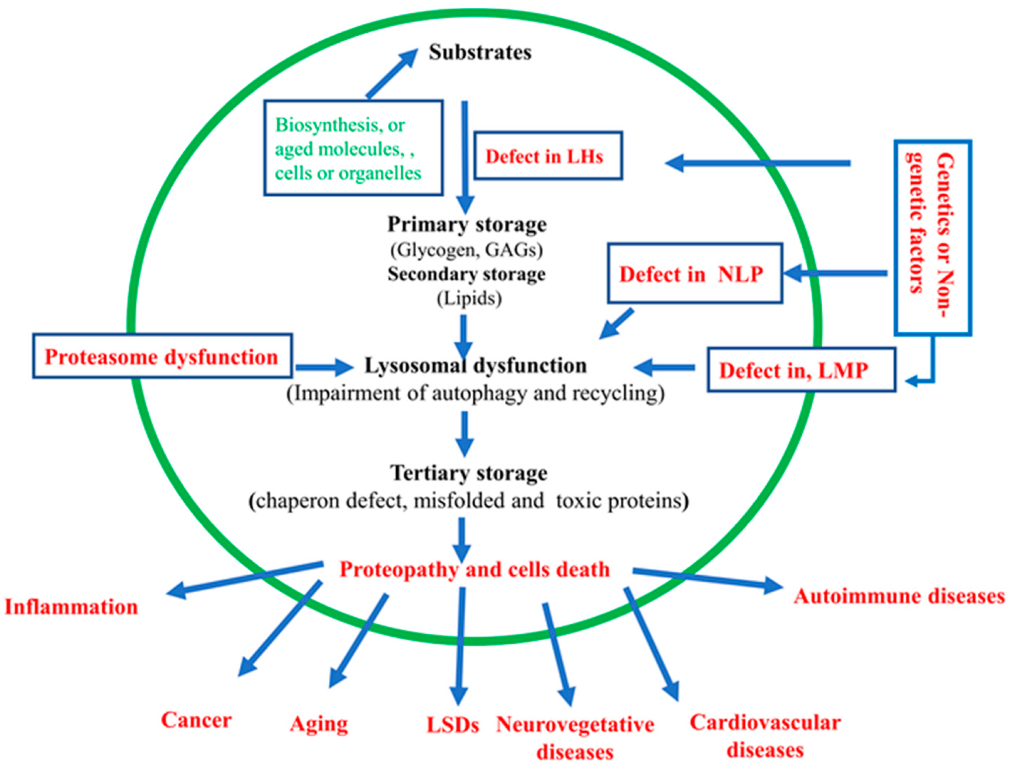 Biomolecules 15 00327 g003 Biomolecules 15 00327 g003