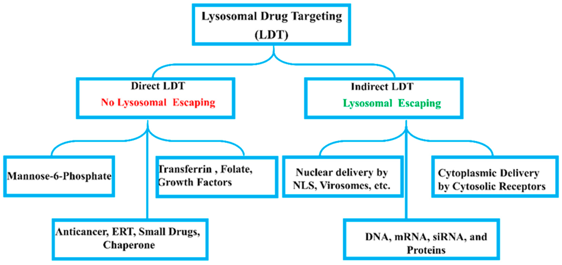 Biomolecules 15 00327 g005 Biomolecules 15 00327 g005