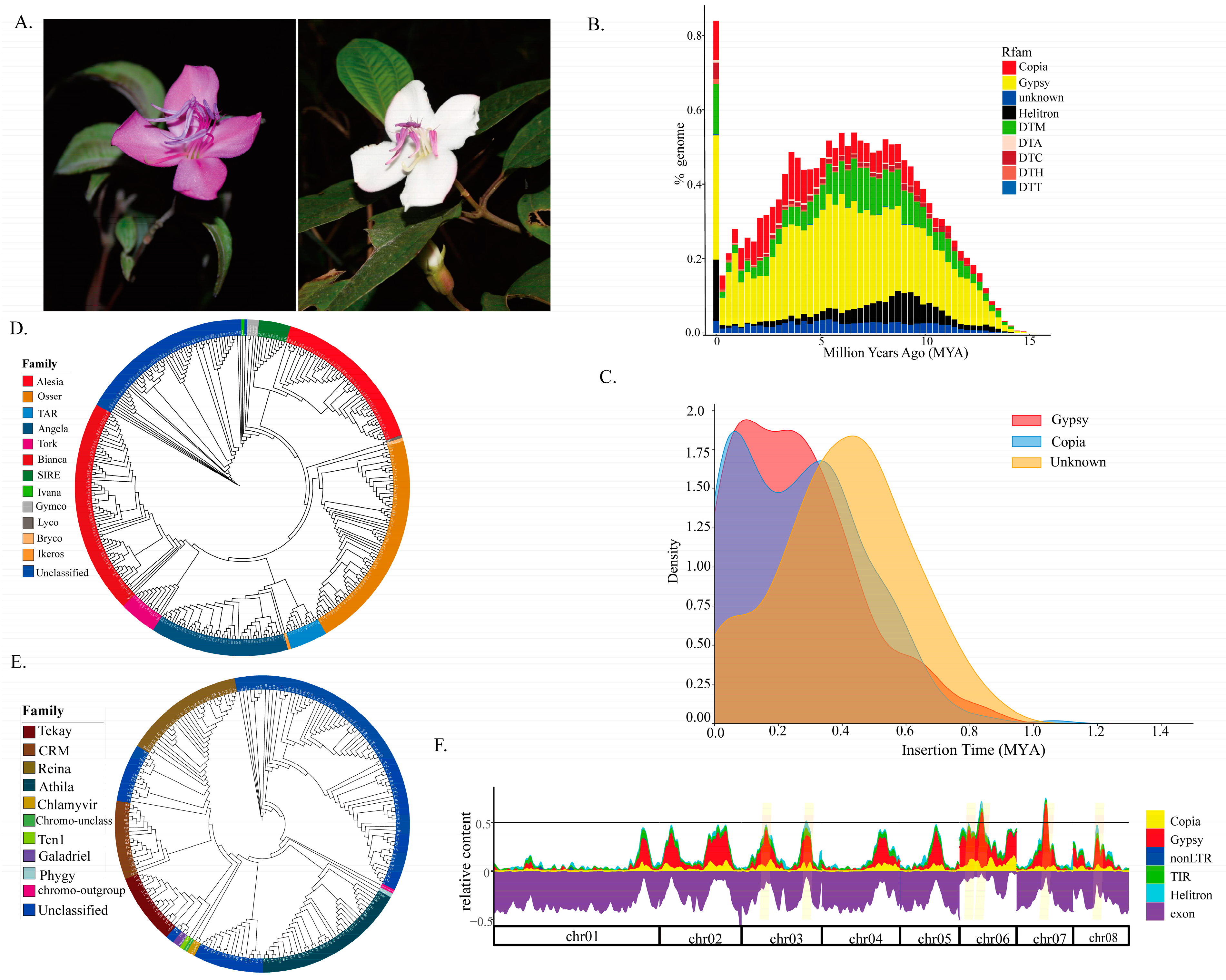 Biomolecules 15 00346 g001