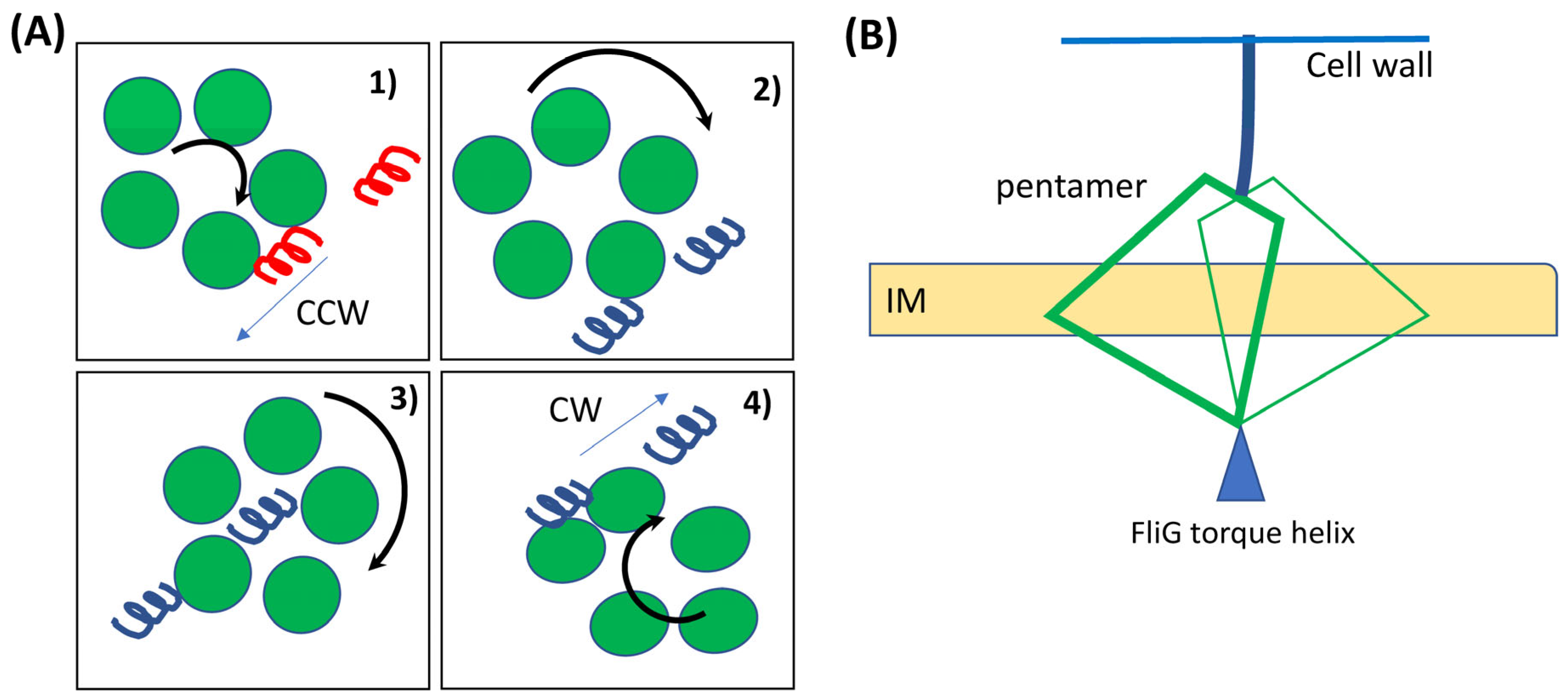 Biomolecules 15 00355 g003 Biomolecules 15 00355 g003