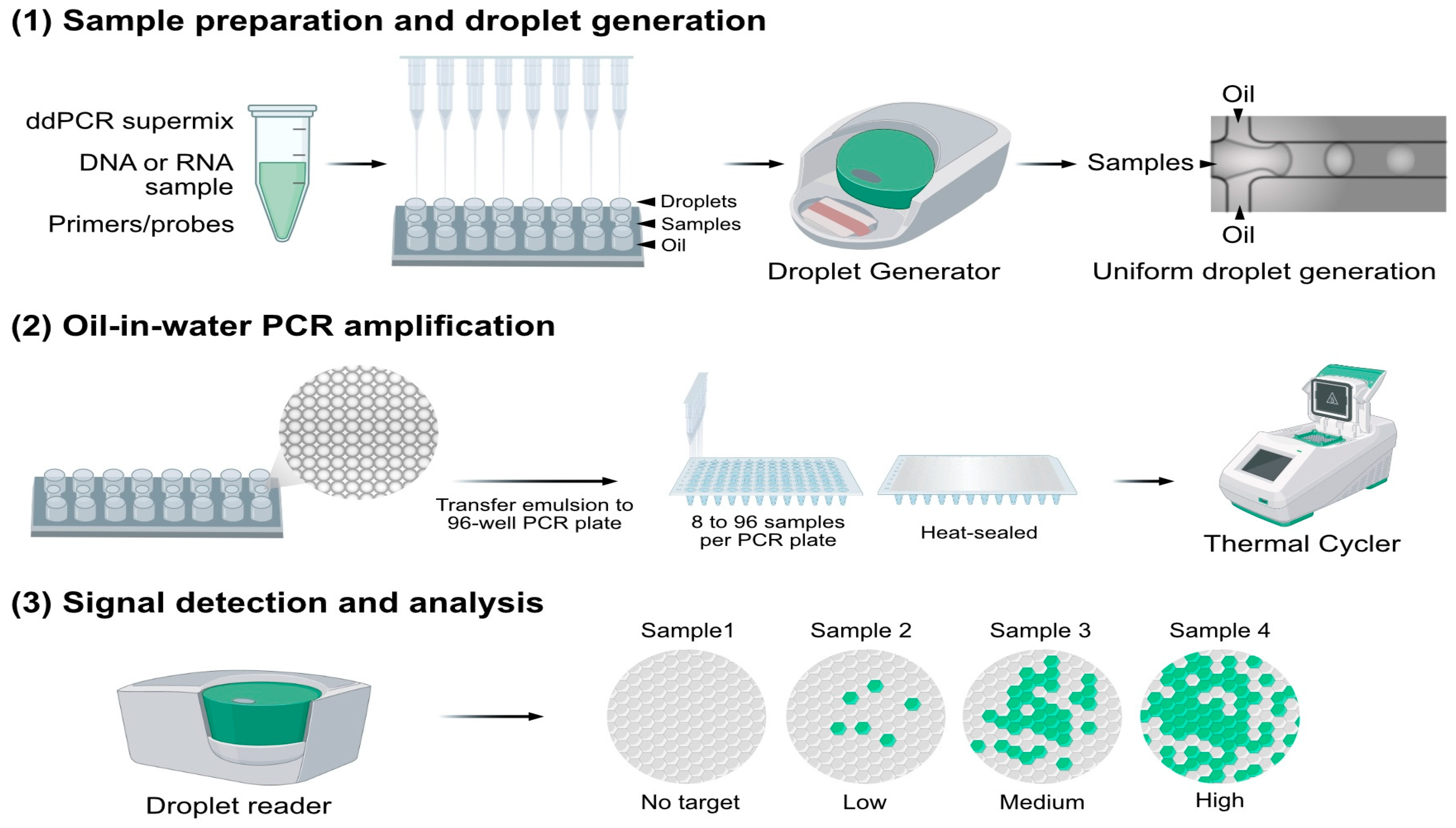 Biomolecules 15 00360 g002