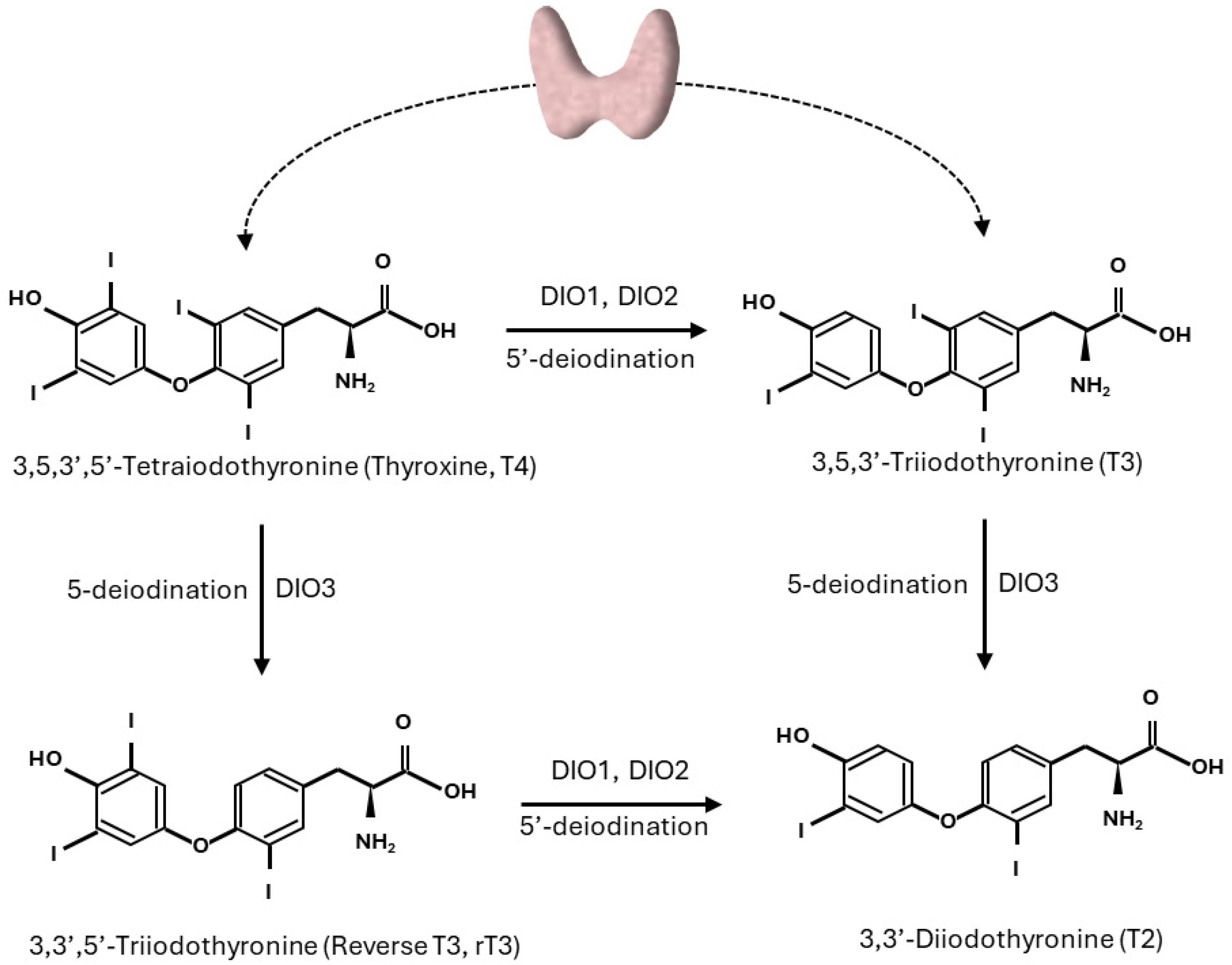 Biomolecules 15 00361 g001