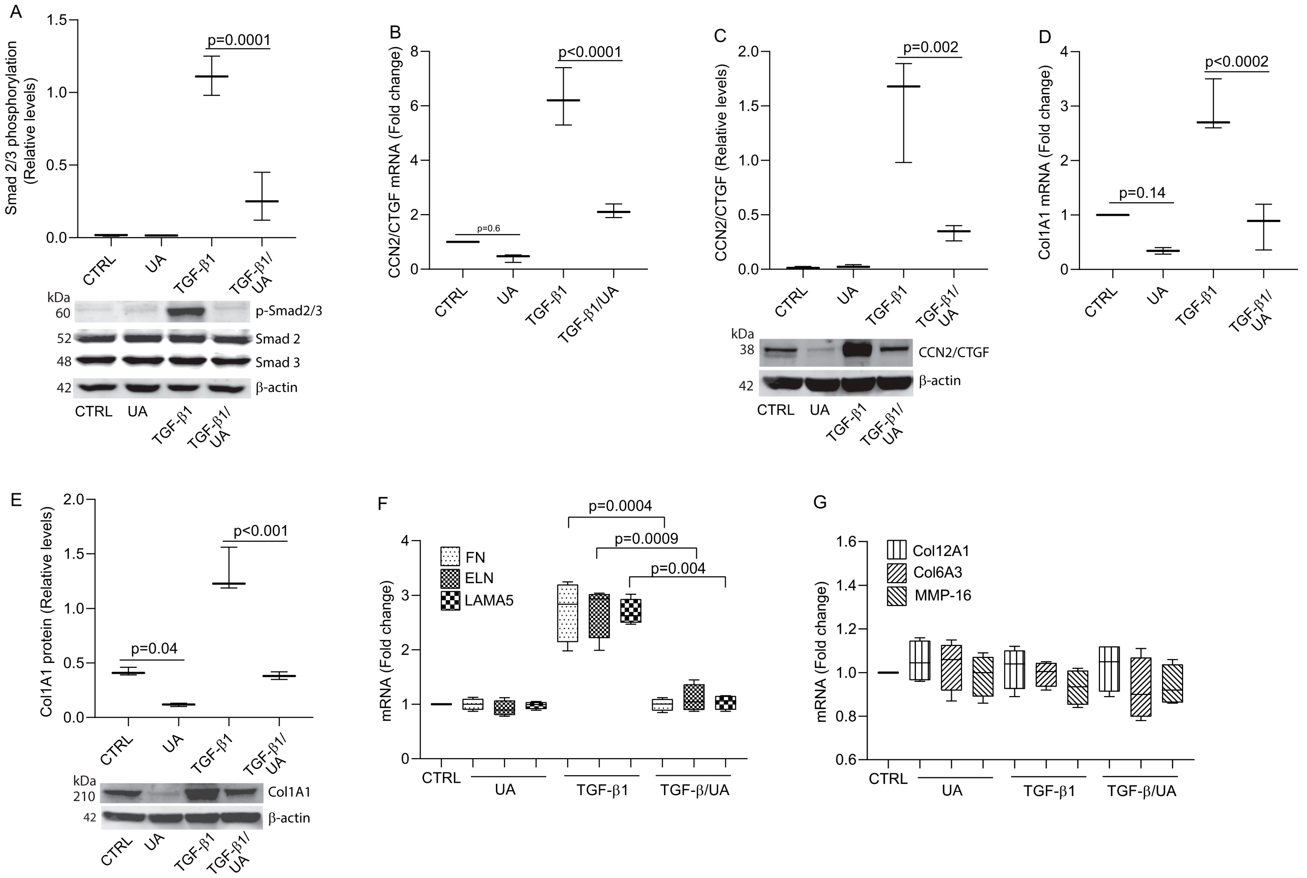 Biomolecules 15 00365 g002