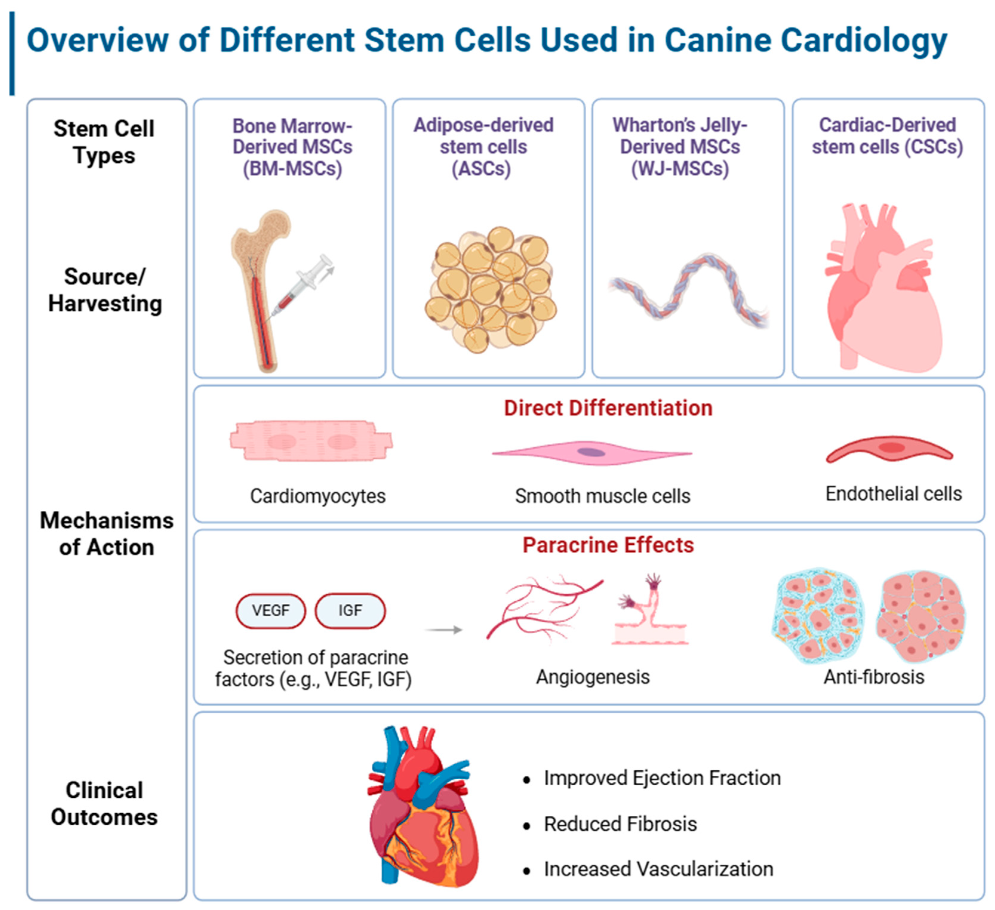 Biomolecules 15 00371 g001