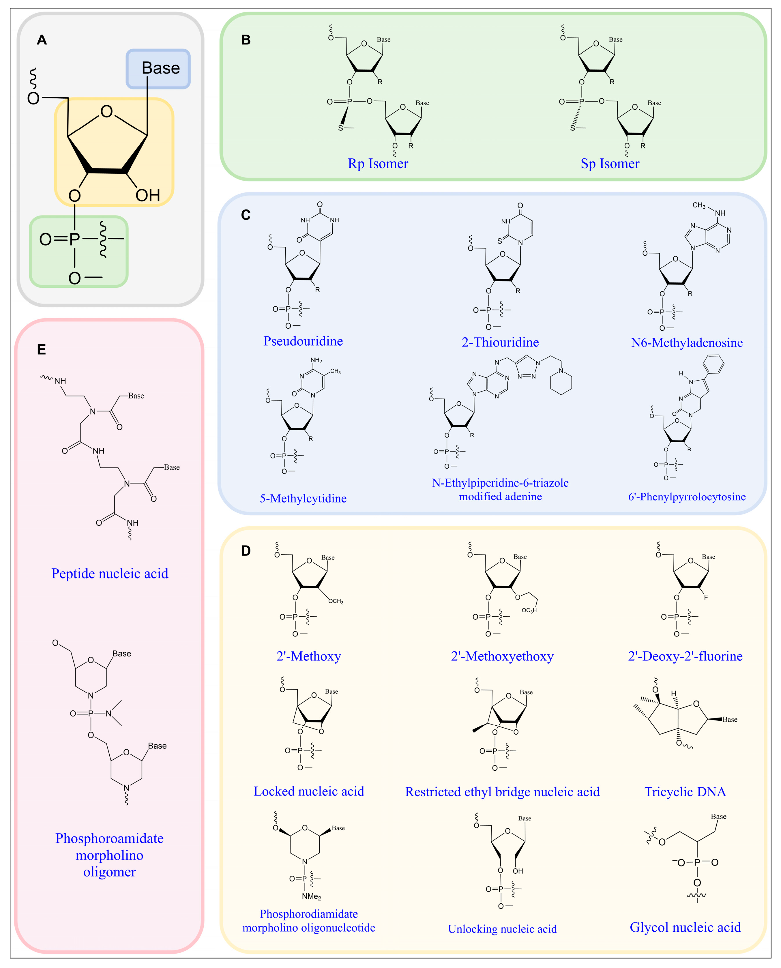 Biomolecules 15 00376 g002