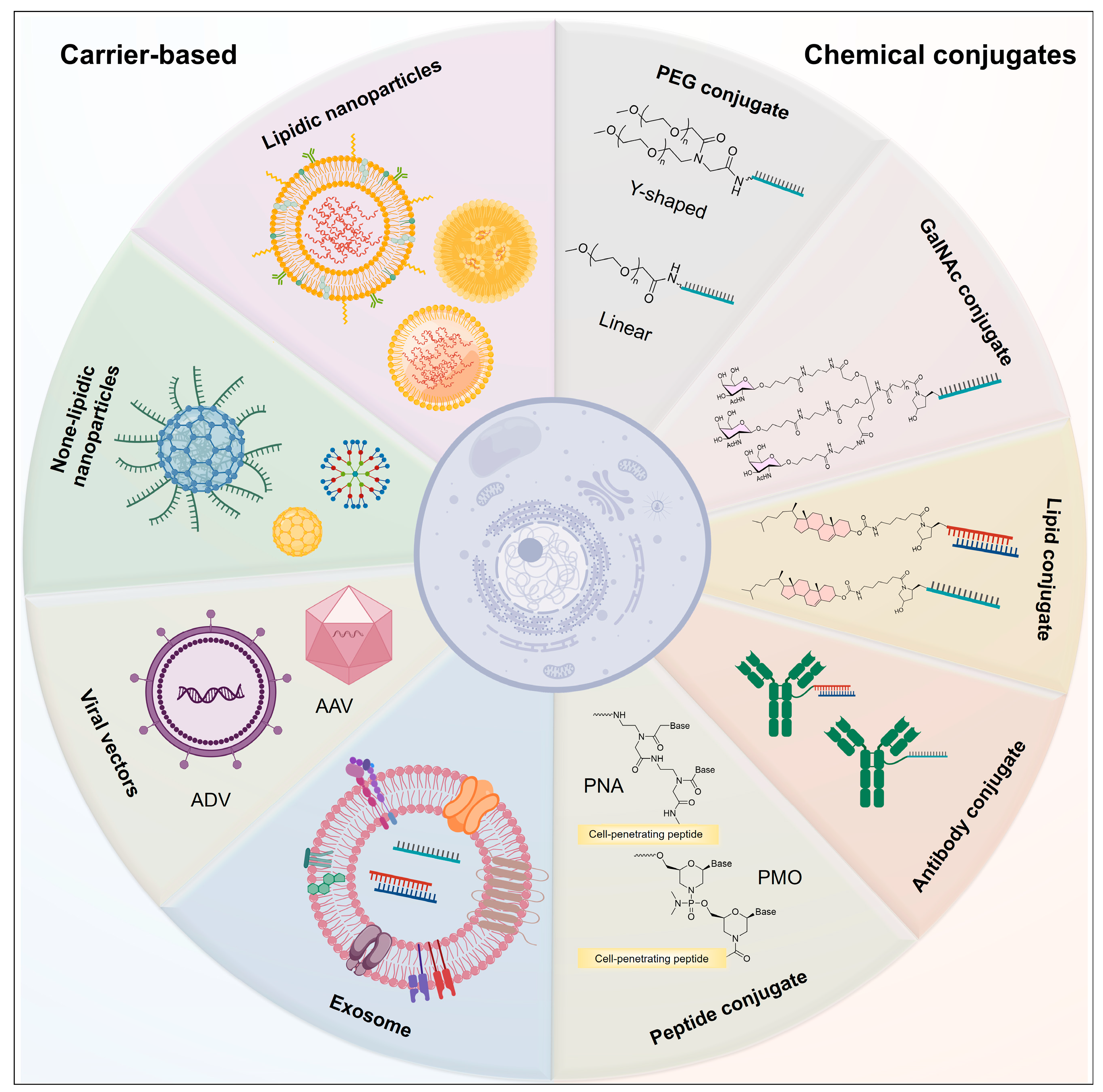 Biomolecules 15 00376 g003