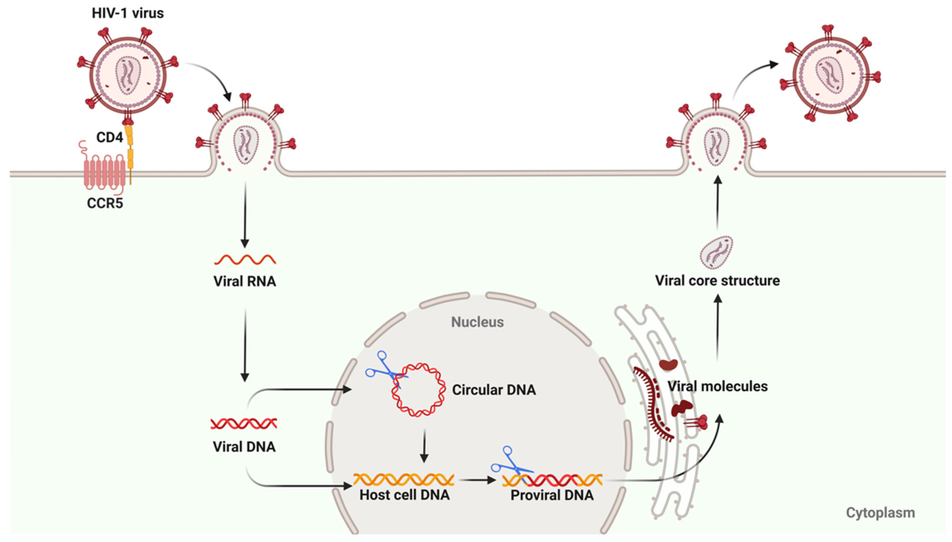 Biomolecules 15 00378 g002