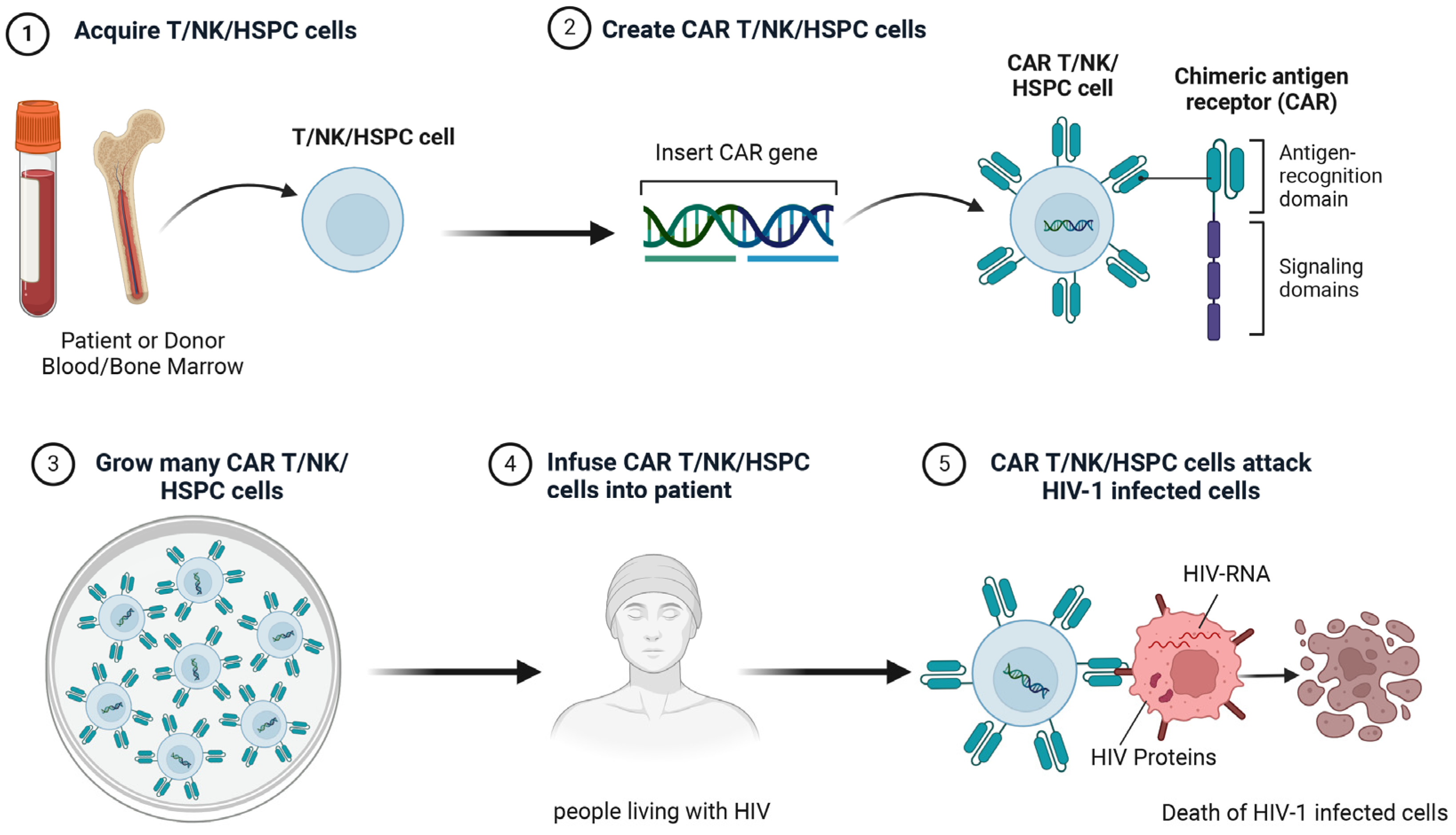 Biomolecules 15 00378 g003