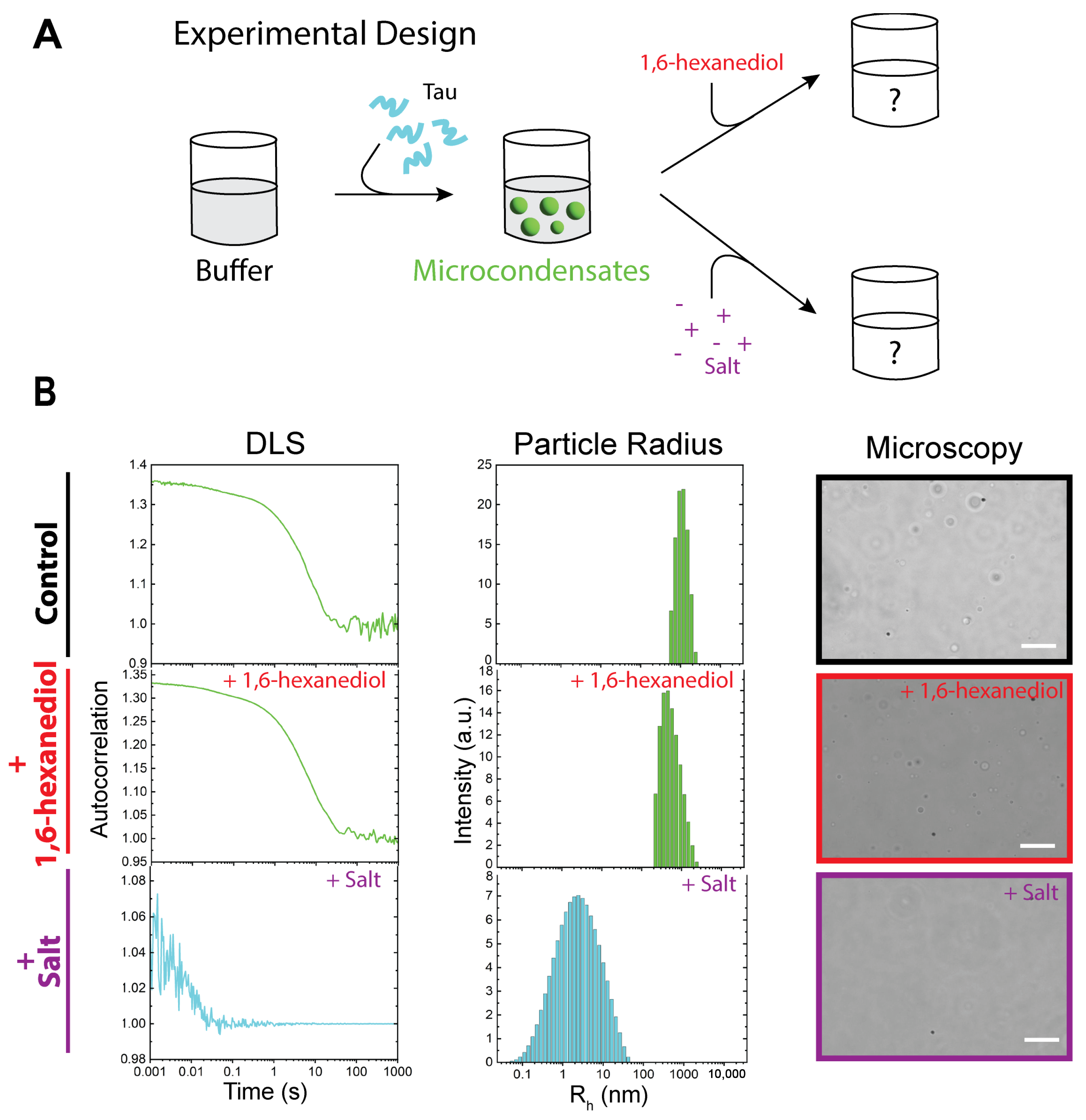 Biomolecules 15 00406 g002