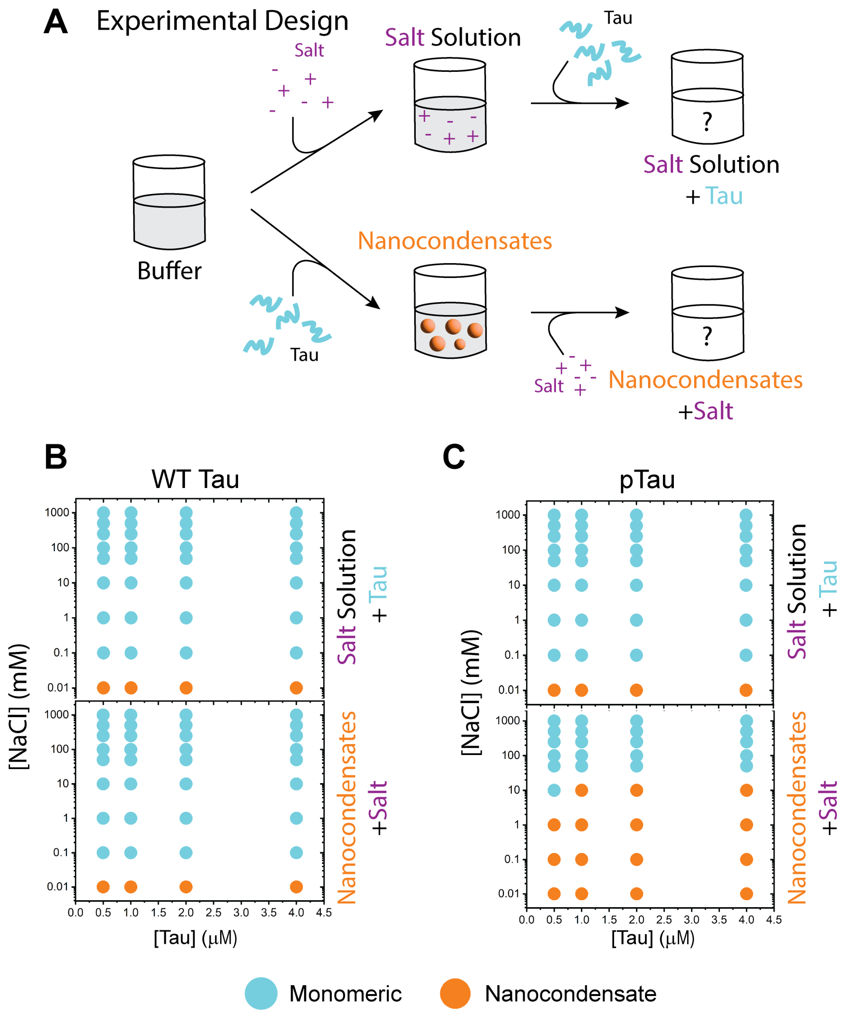 Biomolecules 15 00406 g003