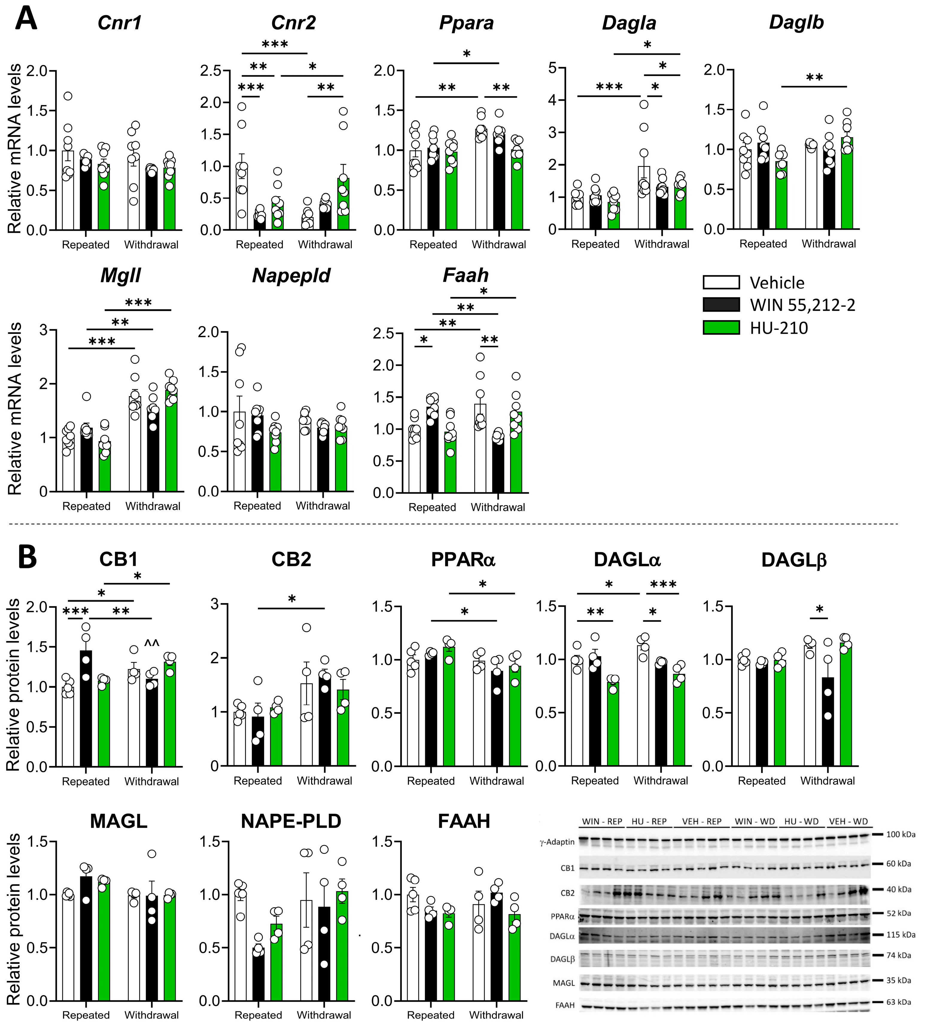 Biomolecules 15 00417 g004