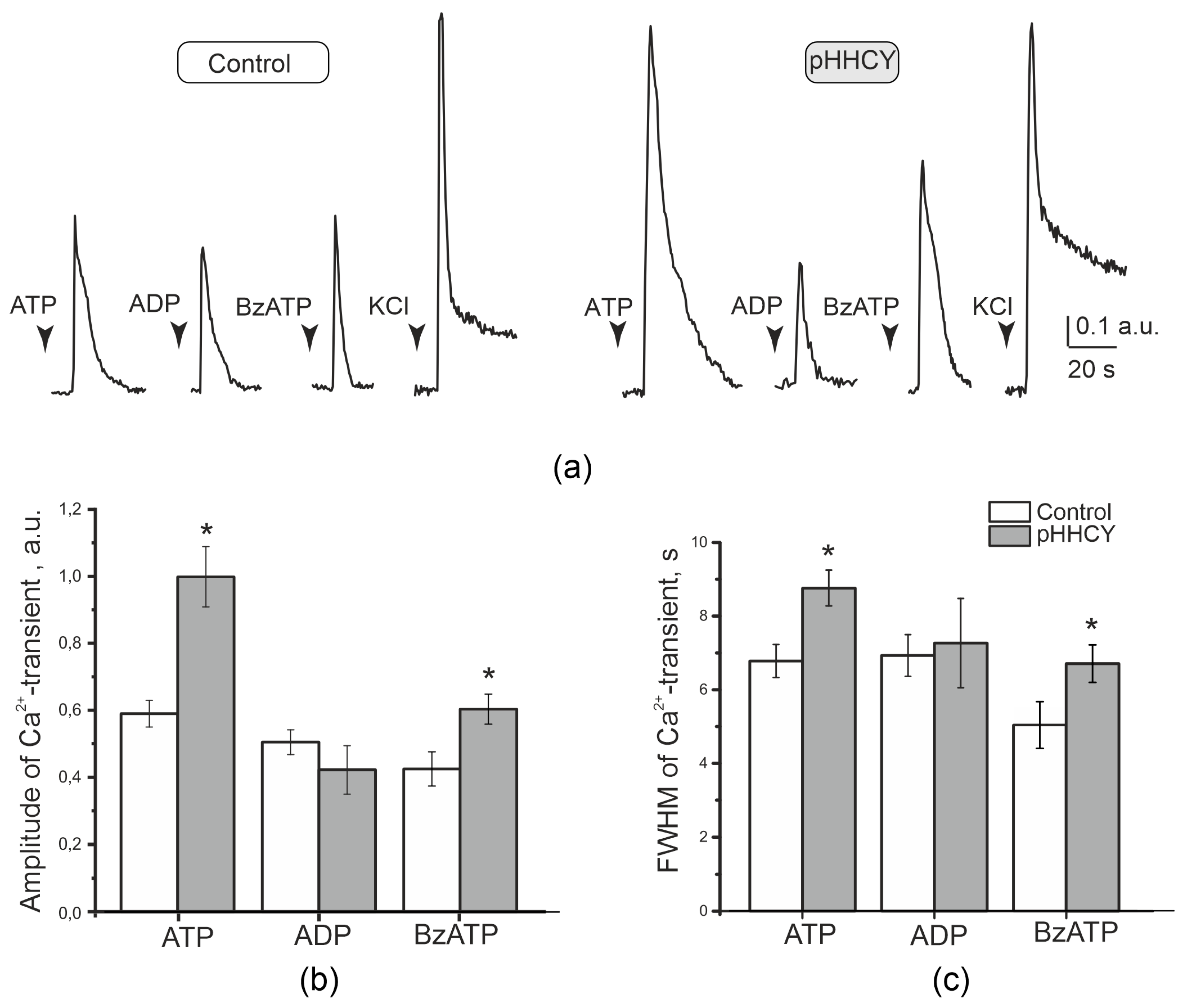 Biomolecules 15 00419 g003