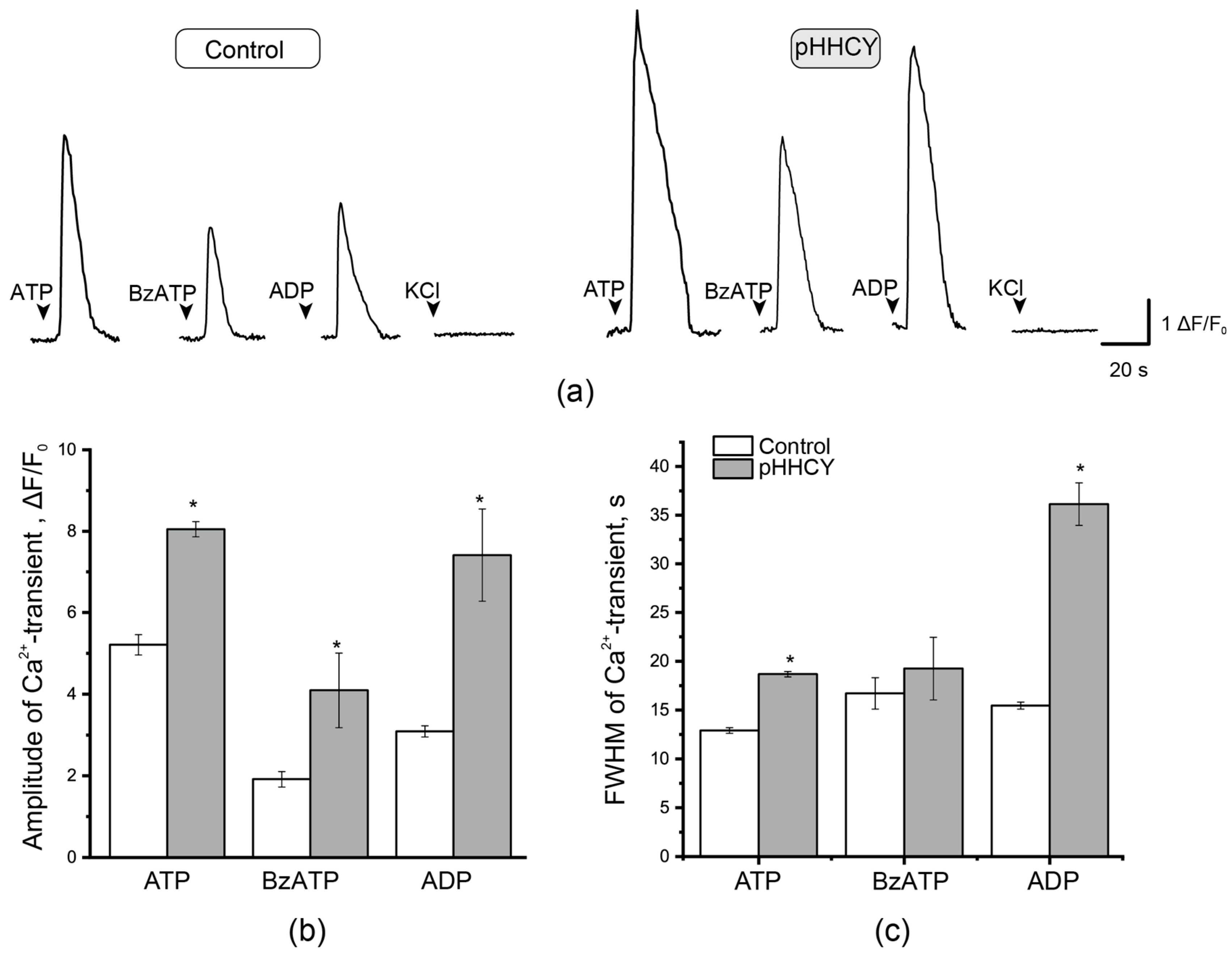 Biomolecules 15 00419 g004