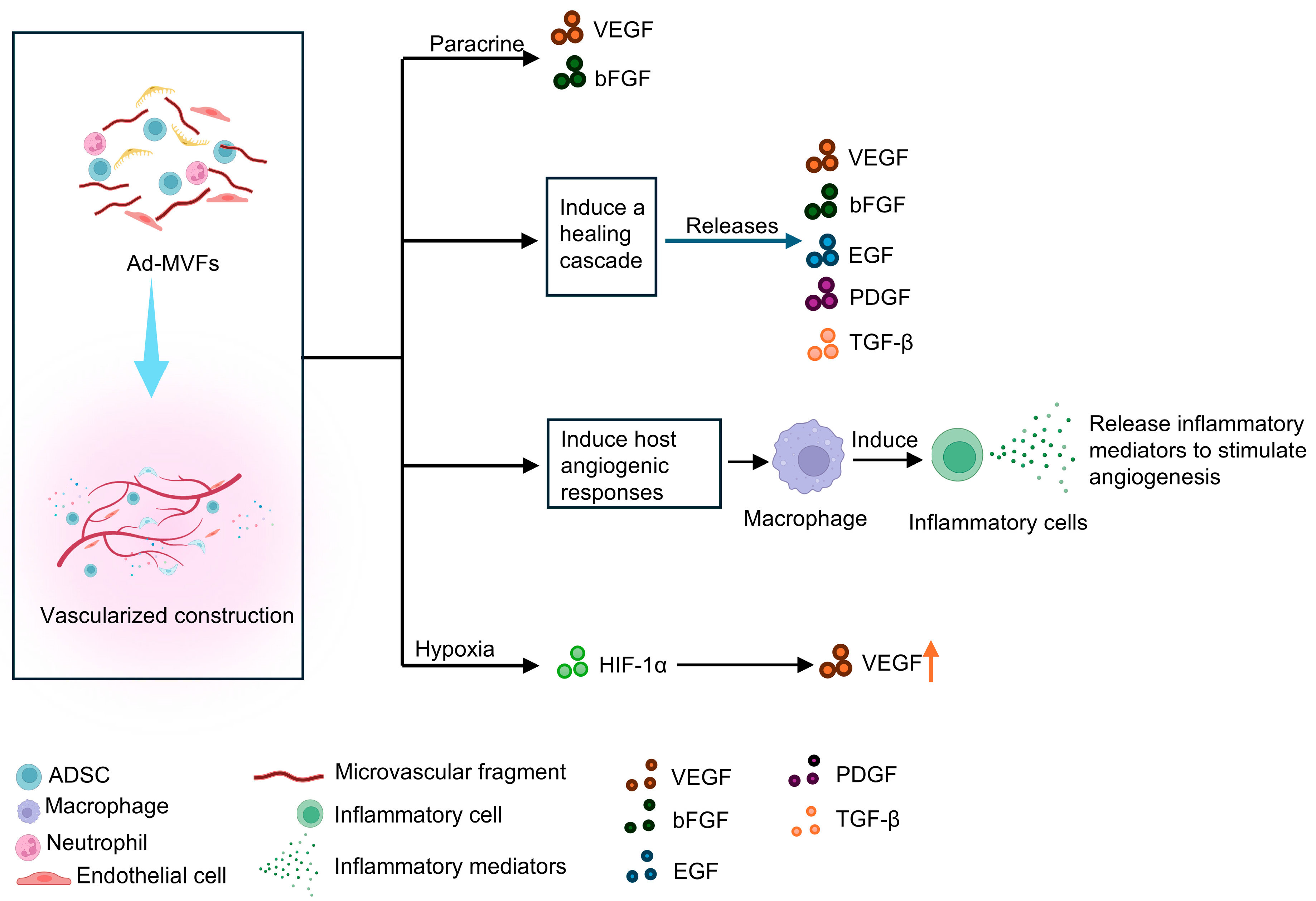 Biomolecules 15 00422 g002