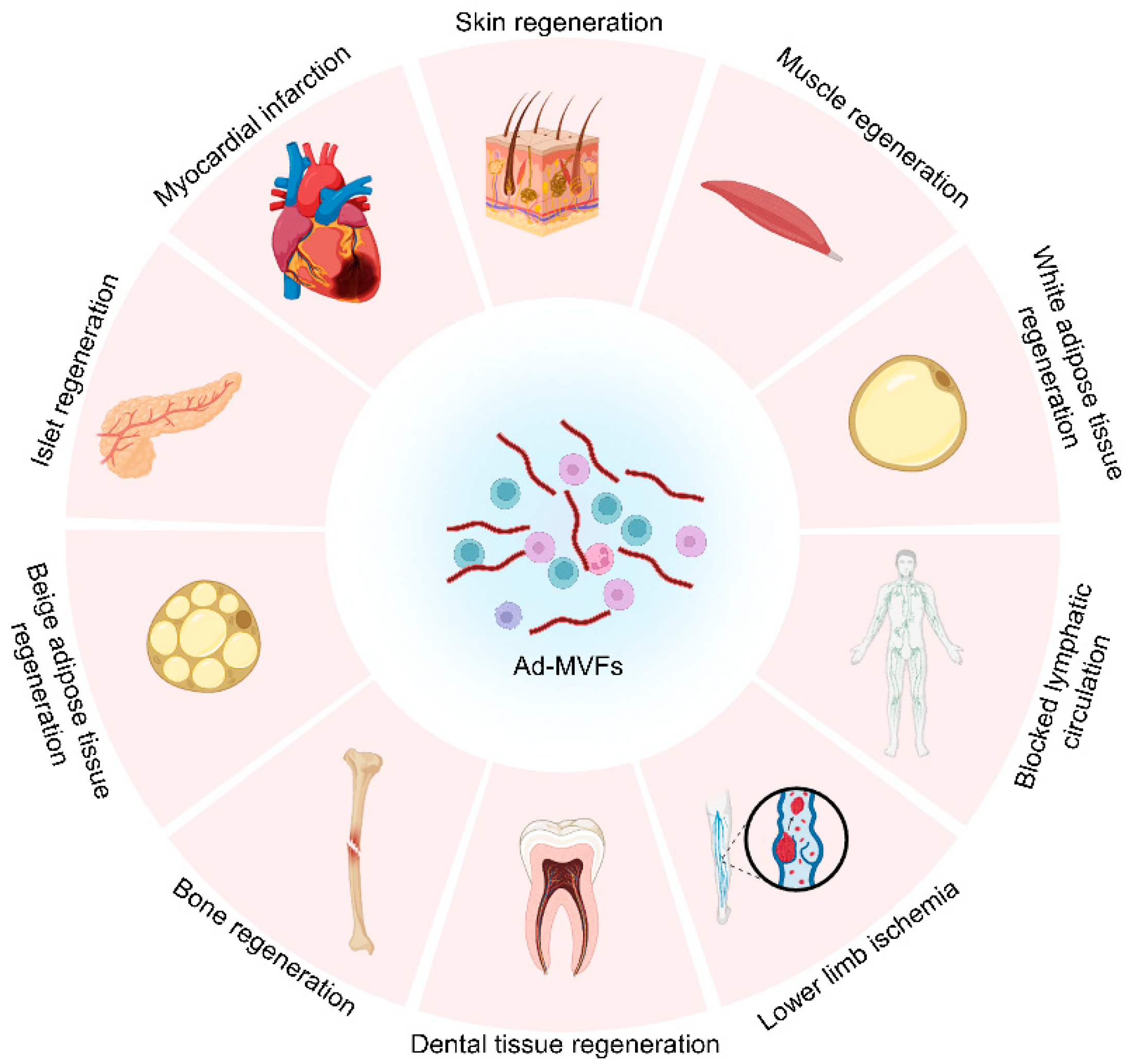 Biomolecules 15 00422 g005