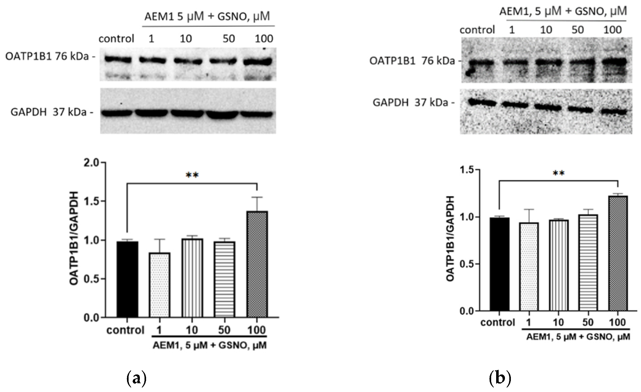 Biomolecules 15 00428 g008