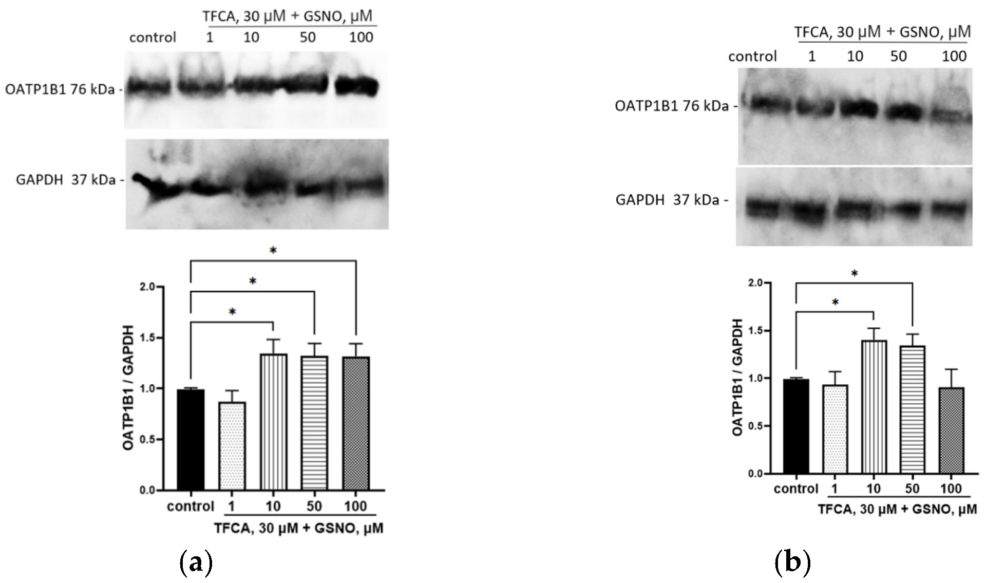 Biomolecules 15 00428 g009
