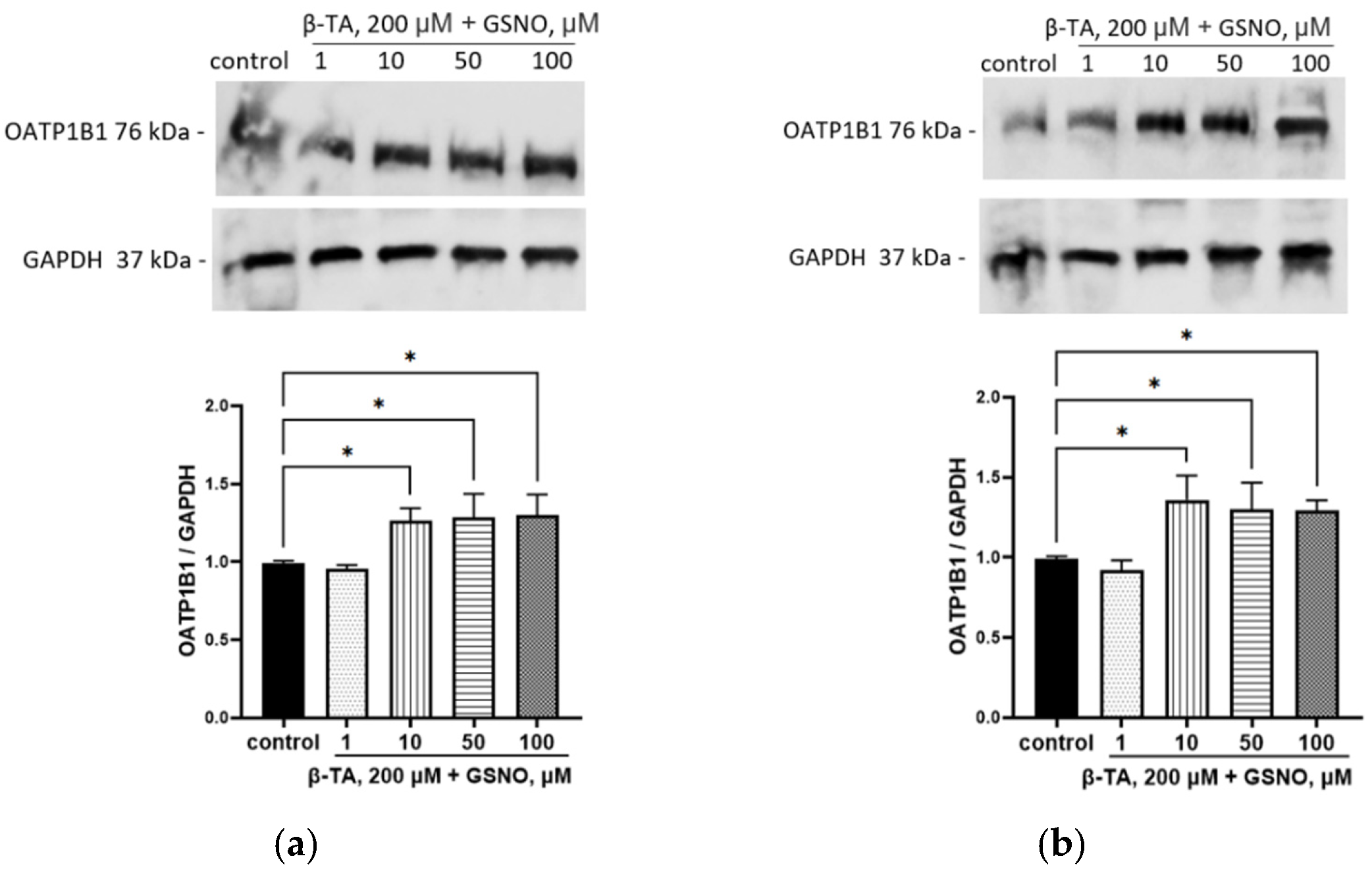 Biomolecules 15 00428 g010