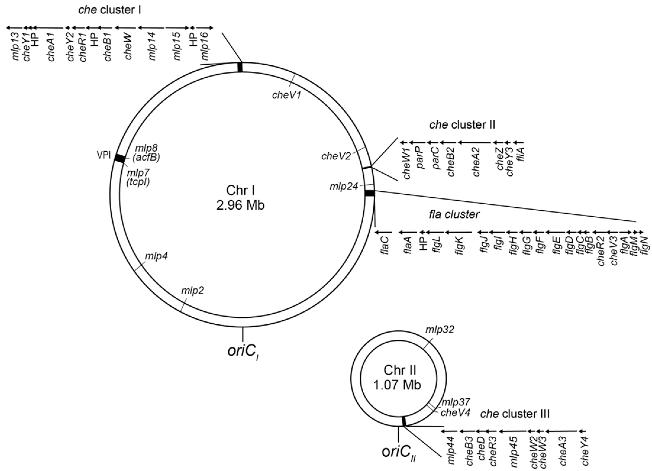 Biomolecules 15 00434 g002