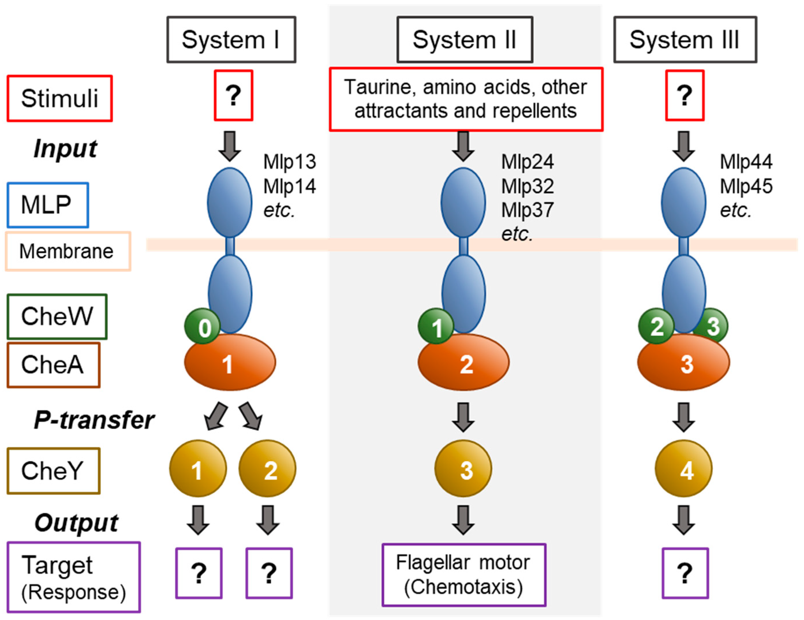 Biomolecules 15 00434 g003