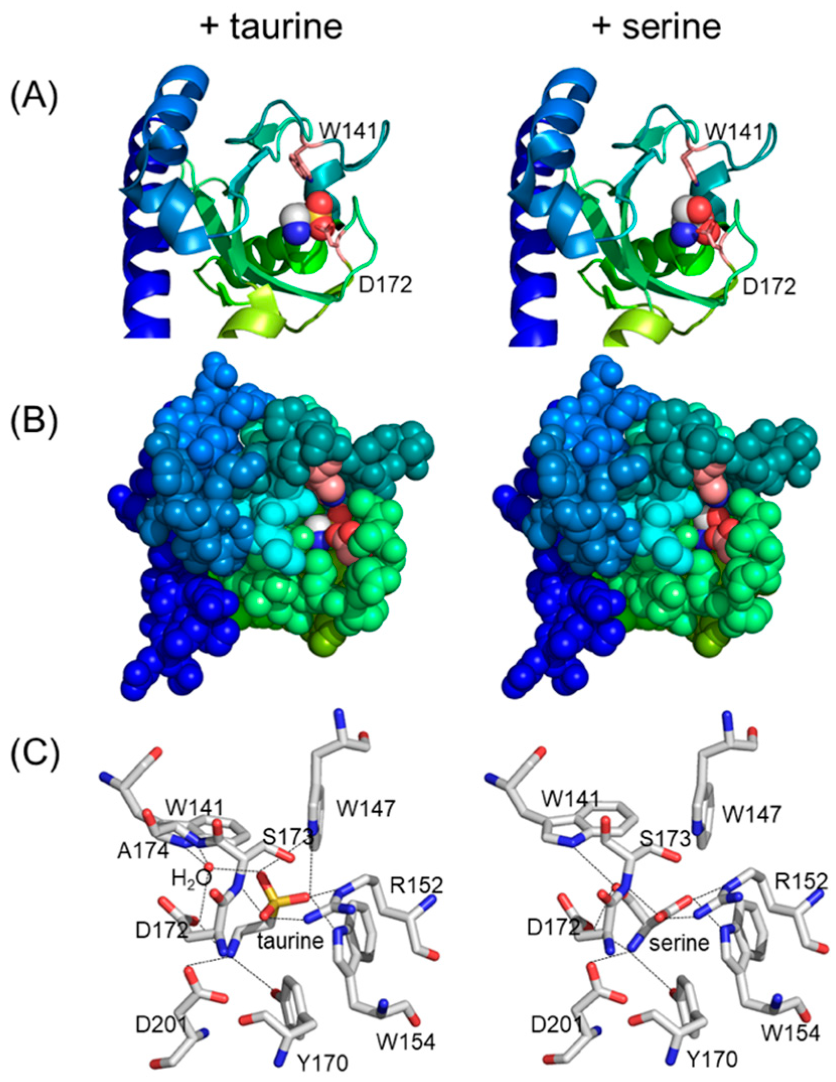 Biomolecules 15 00434 g007