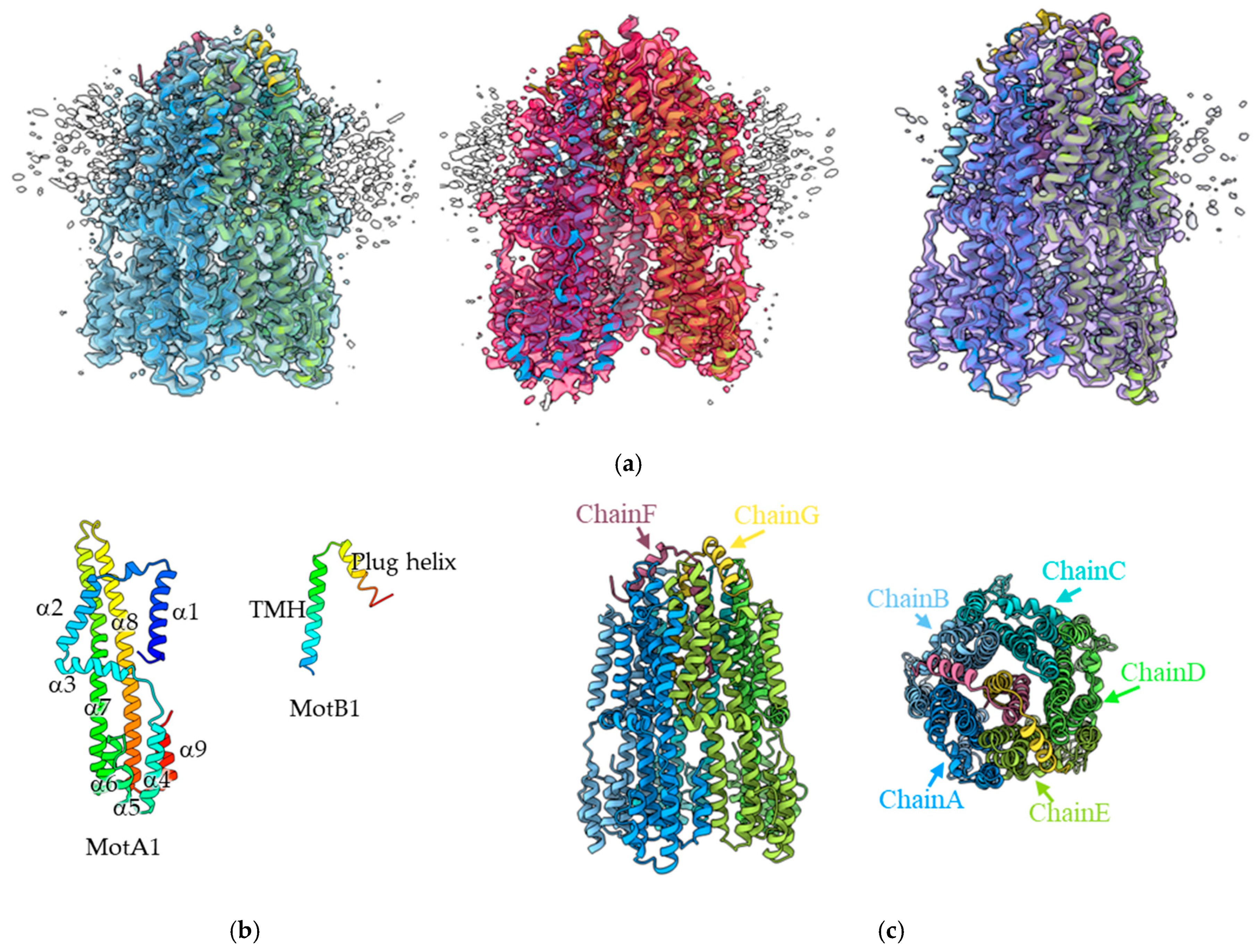 Biomolecules 15 00435 g001