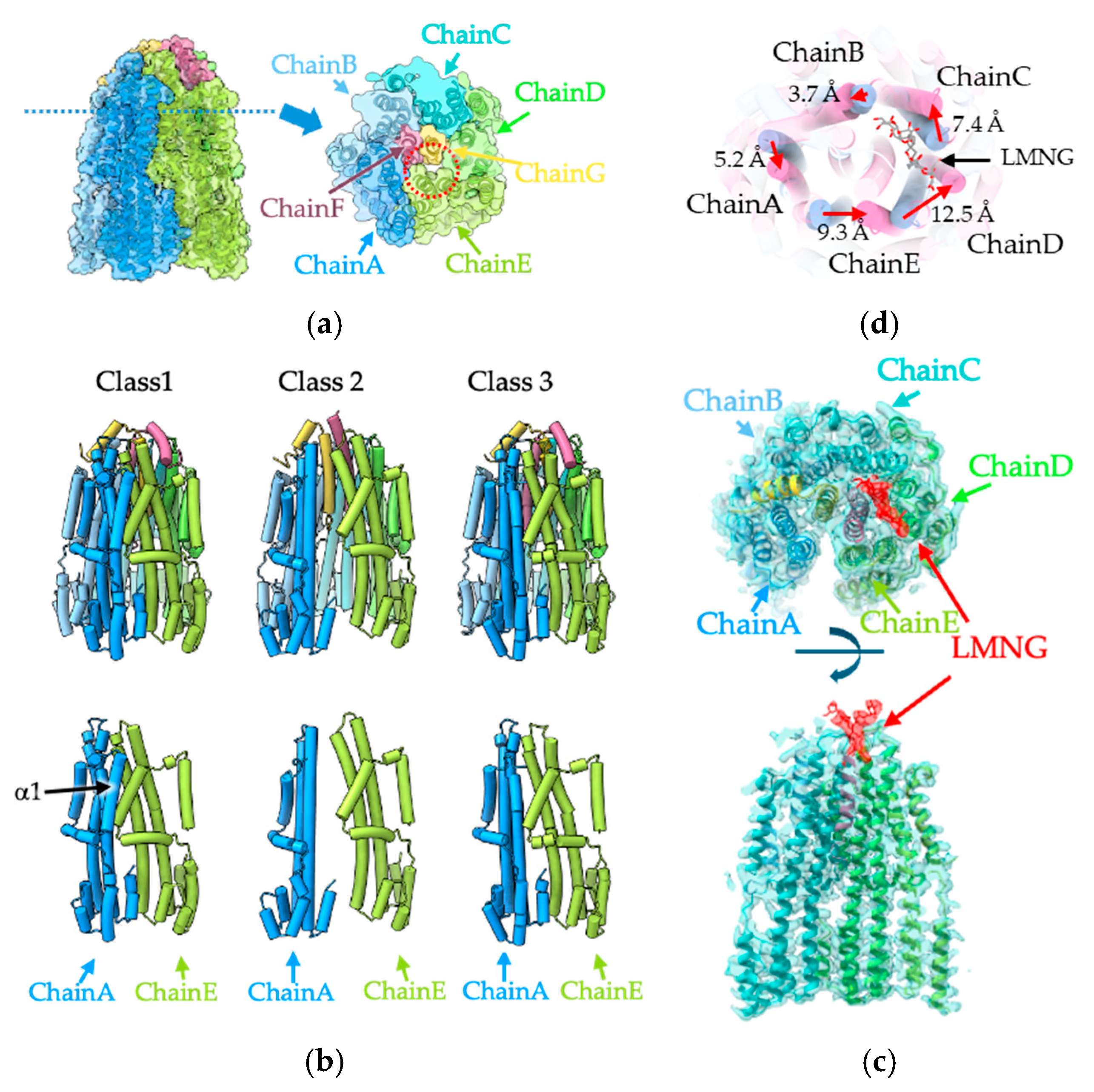 Biomolecules 15 00435 g003
