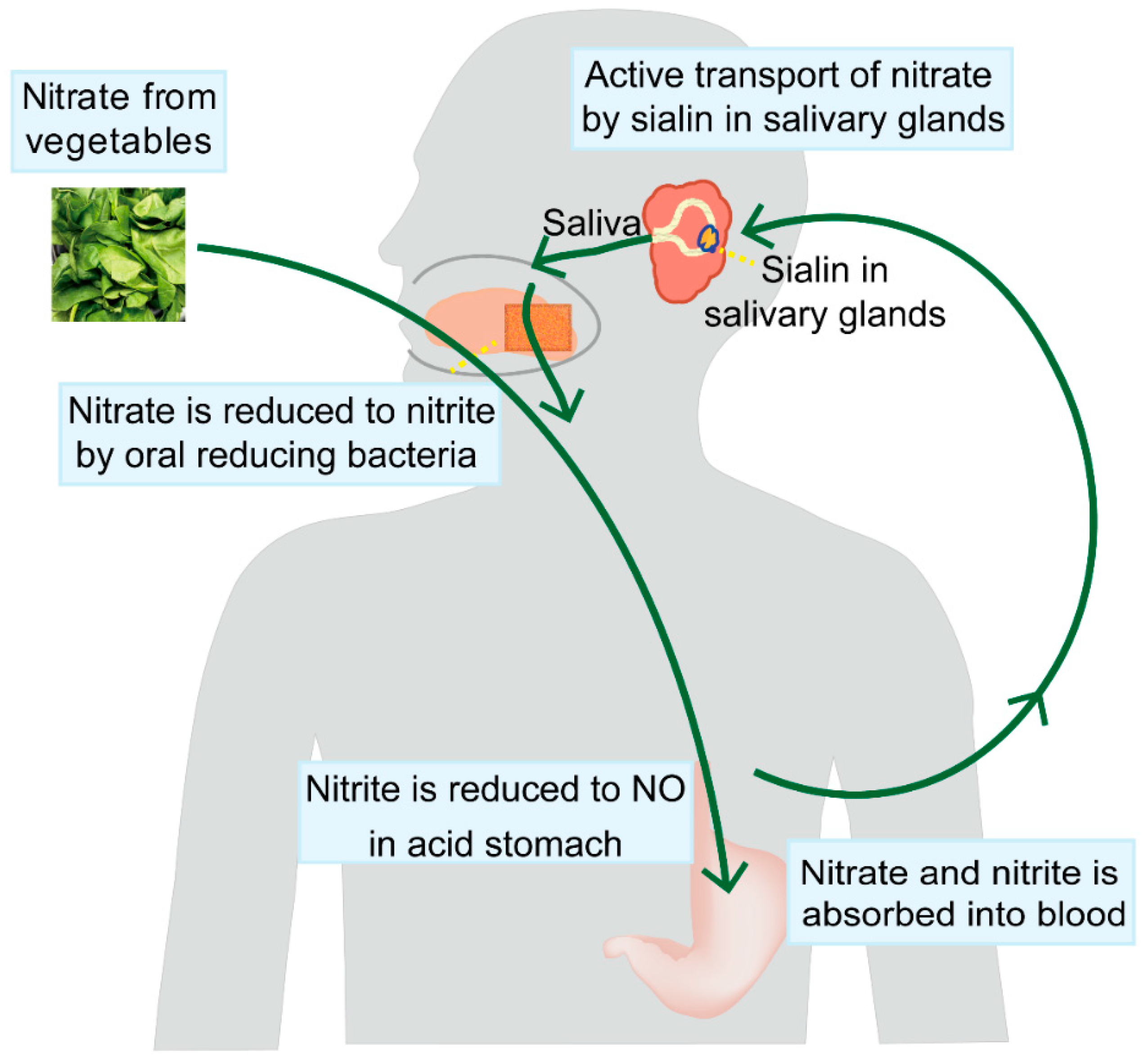 Biomolecules 15 00439 g002