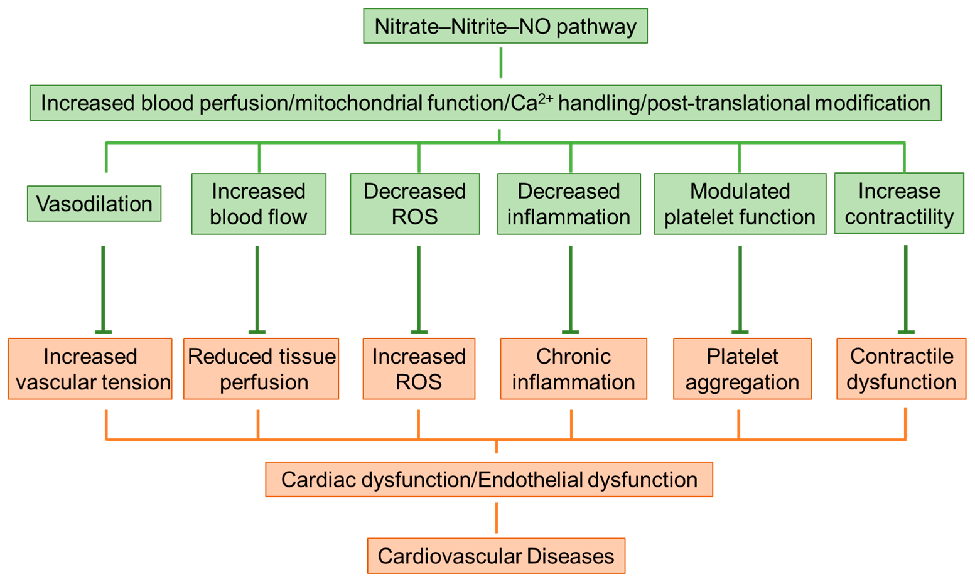 Biomolecules 15 00439 g003