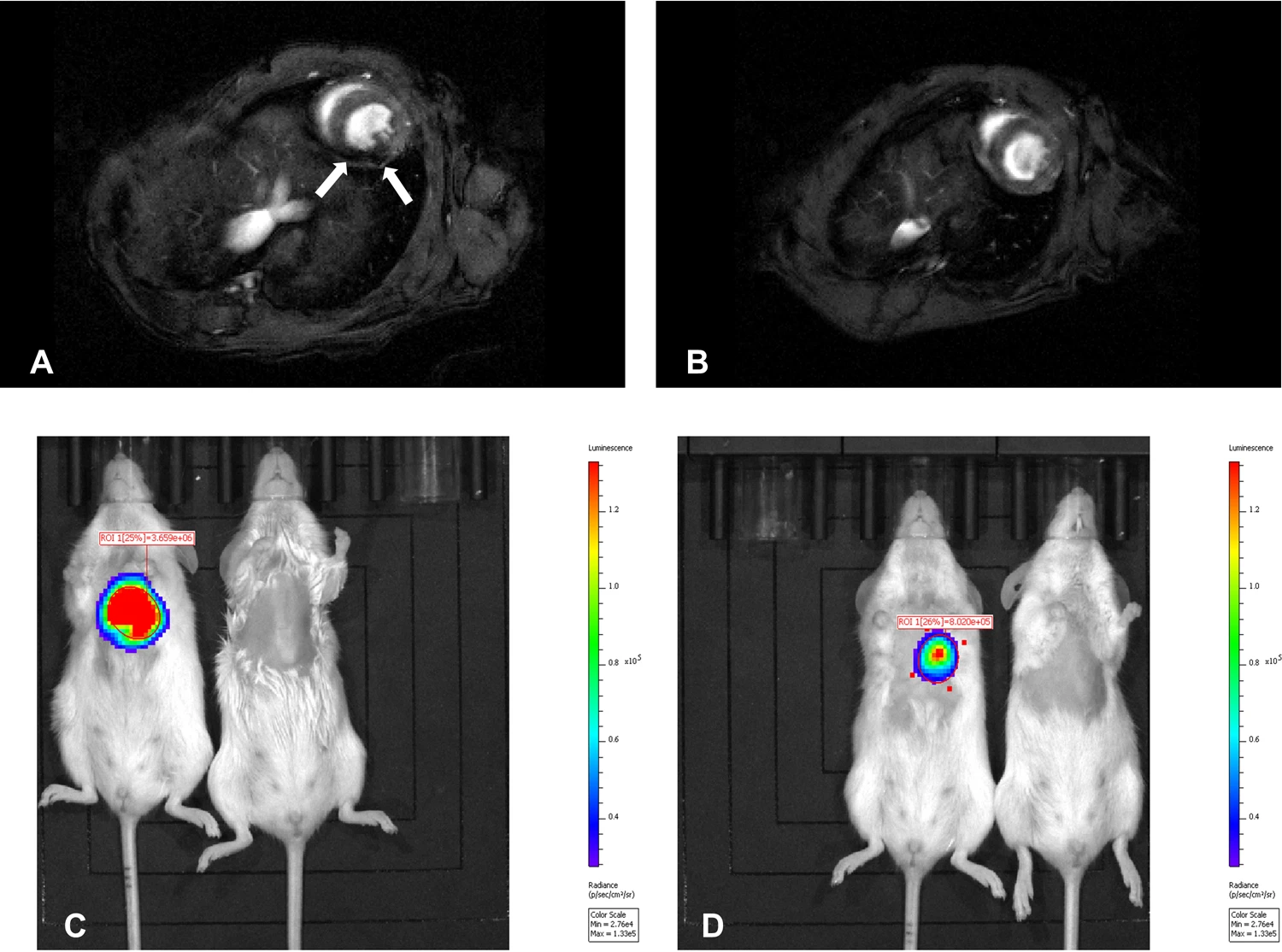 Biomolecules 15 00444 g003