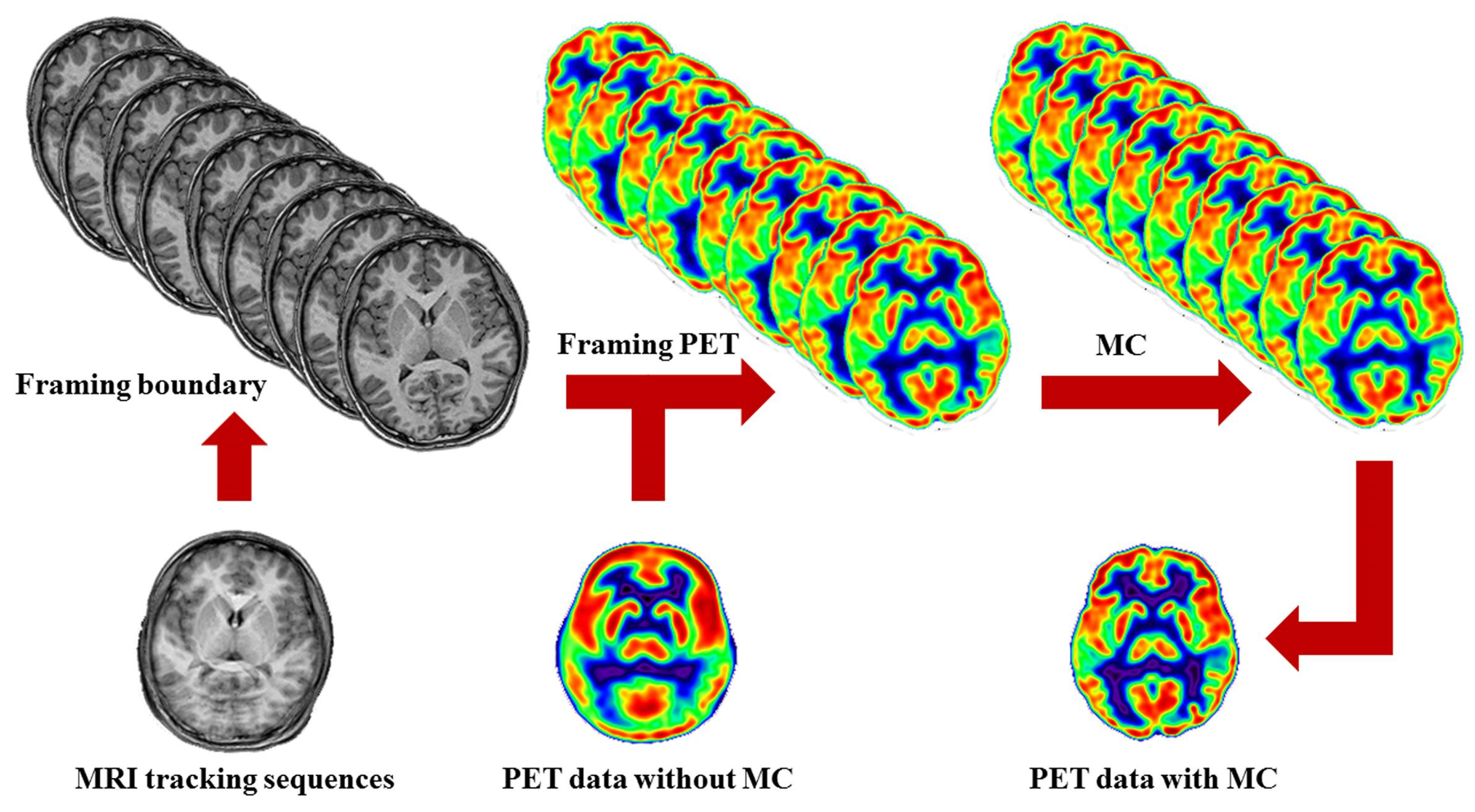 Biomolecules 15 00444 g004