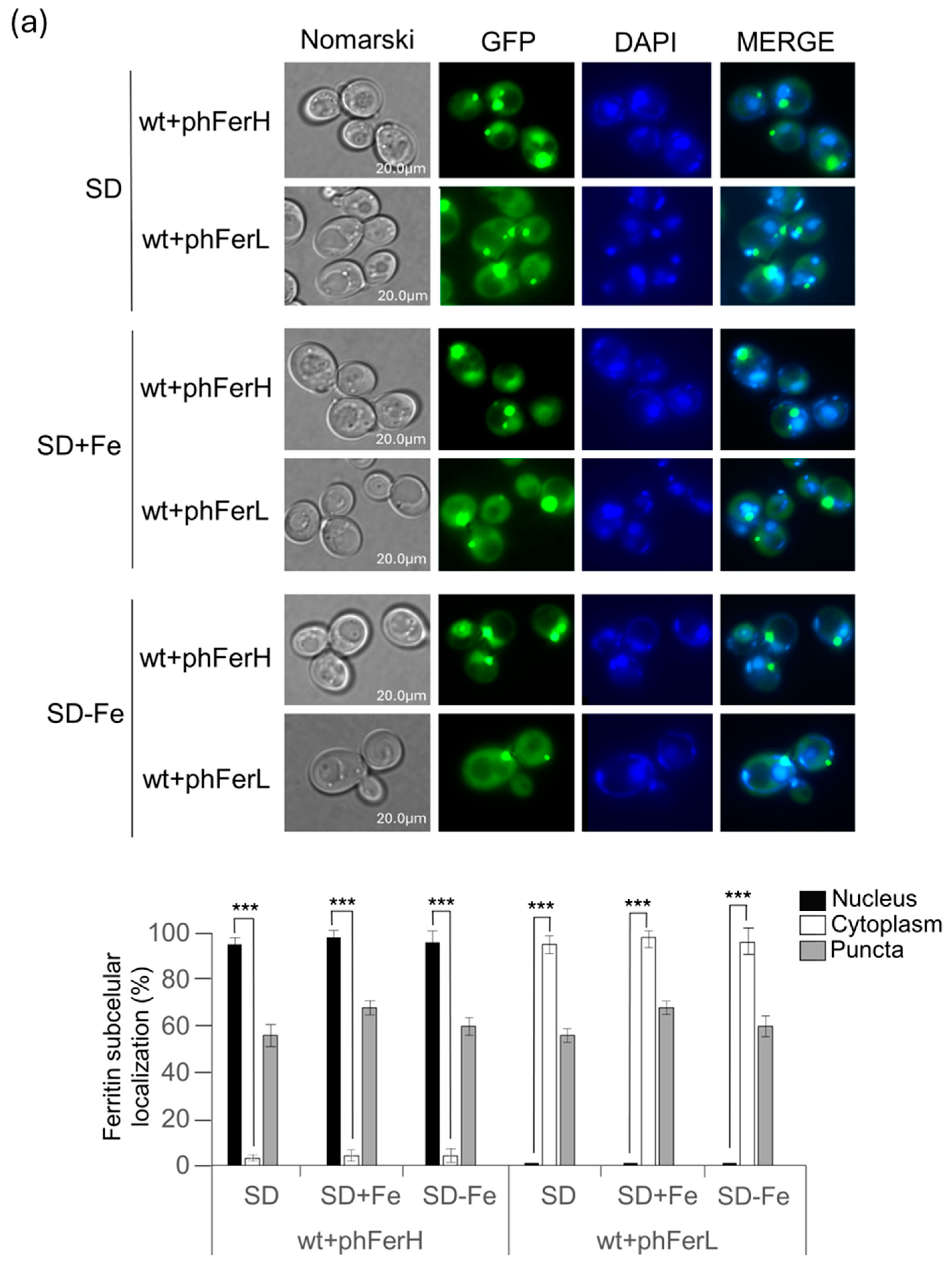 Biomolecules 15 00447 g001a