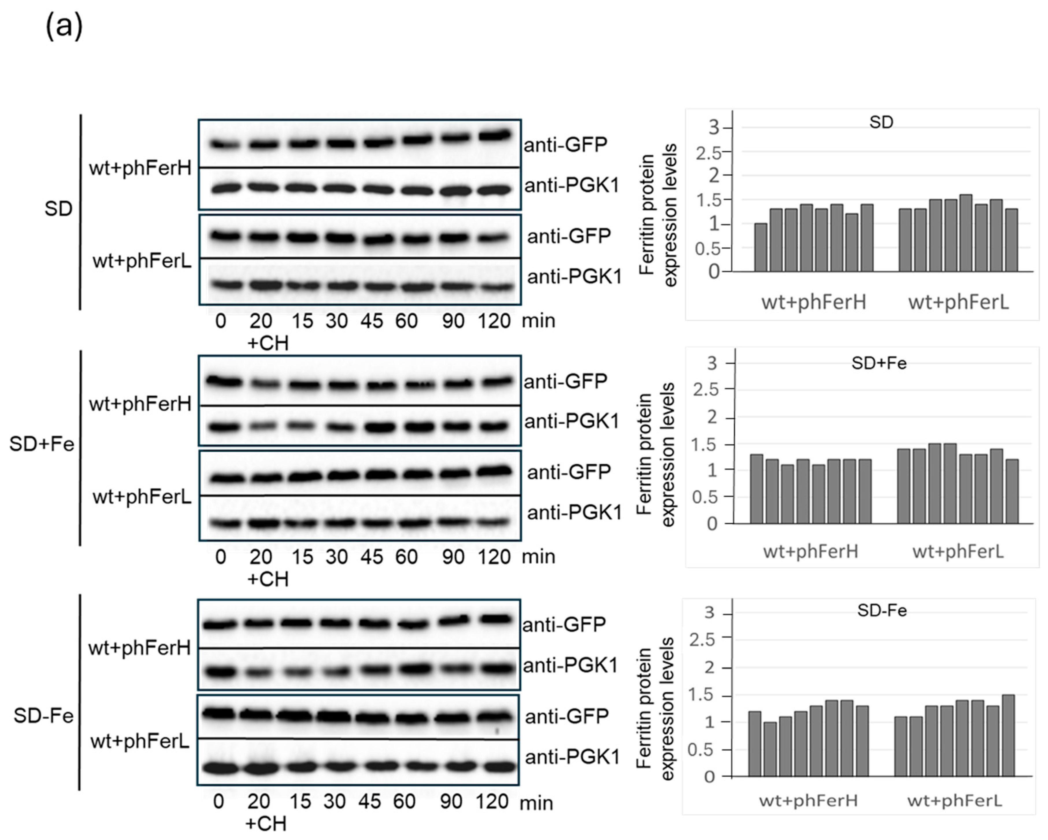 Biomolecules 15 00447 g002a