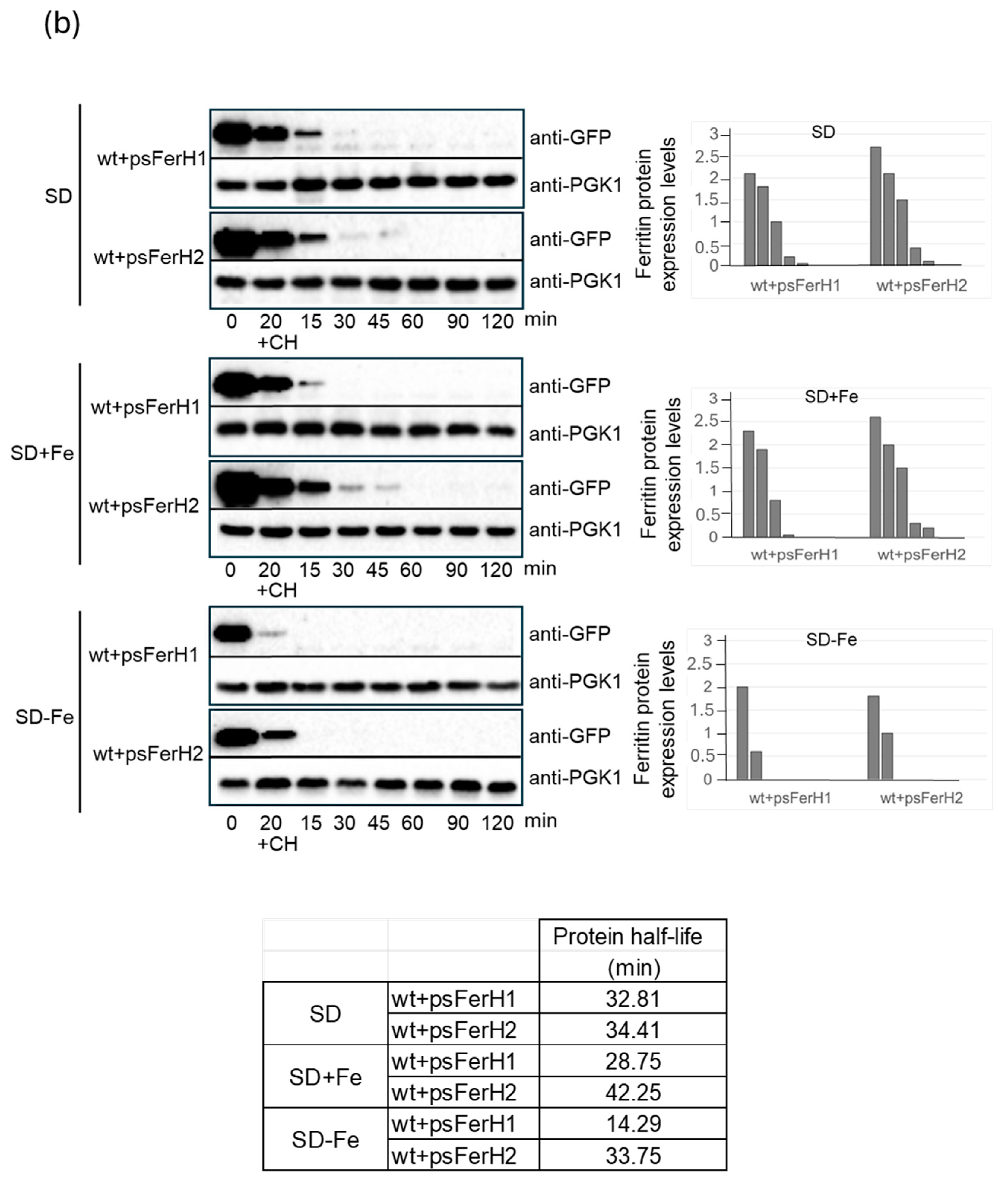 Biomolecules 15 00447 g002b