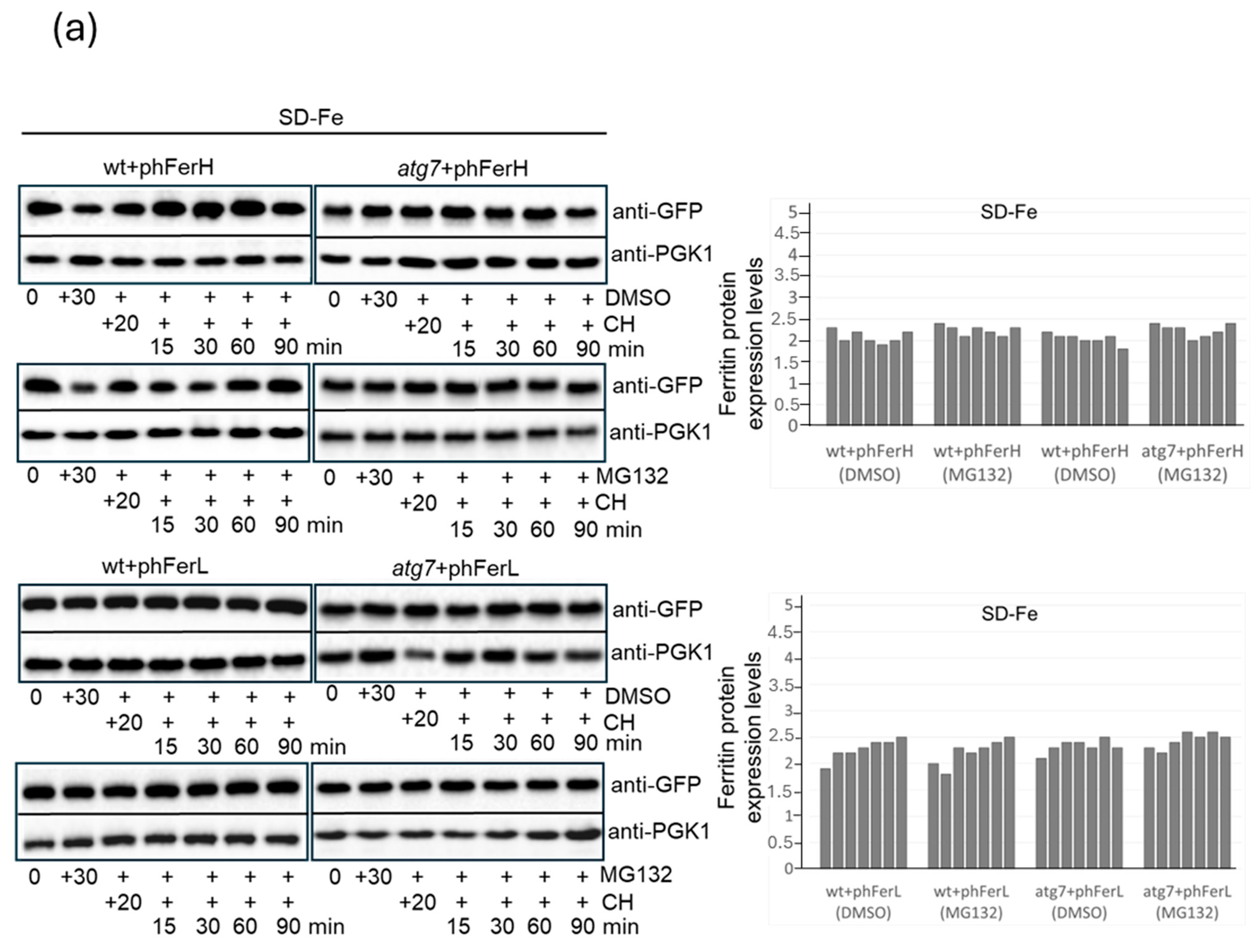 Biomolecules 15 00447 g003a