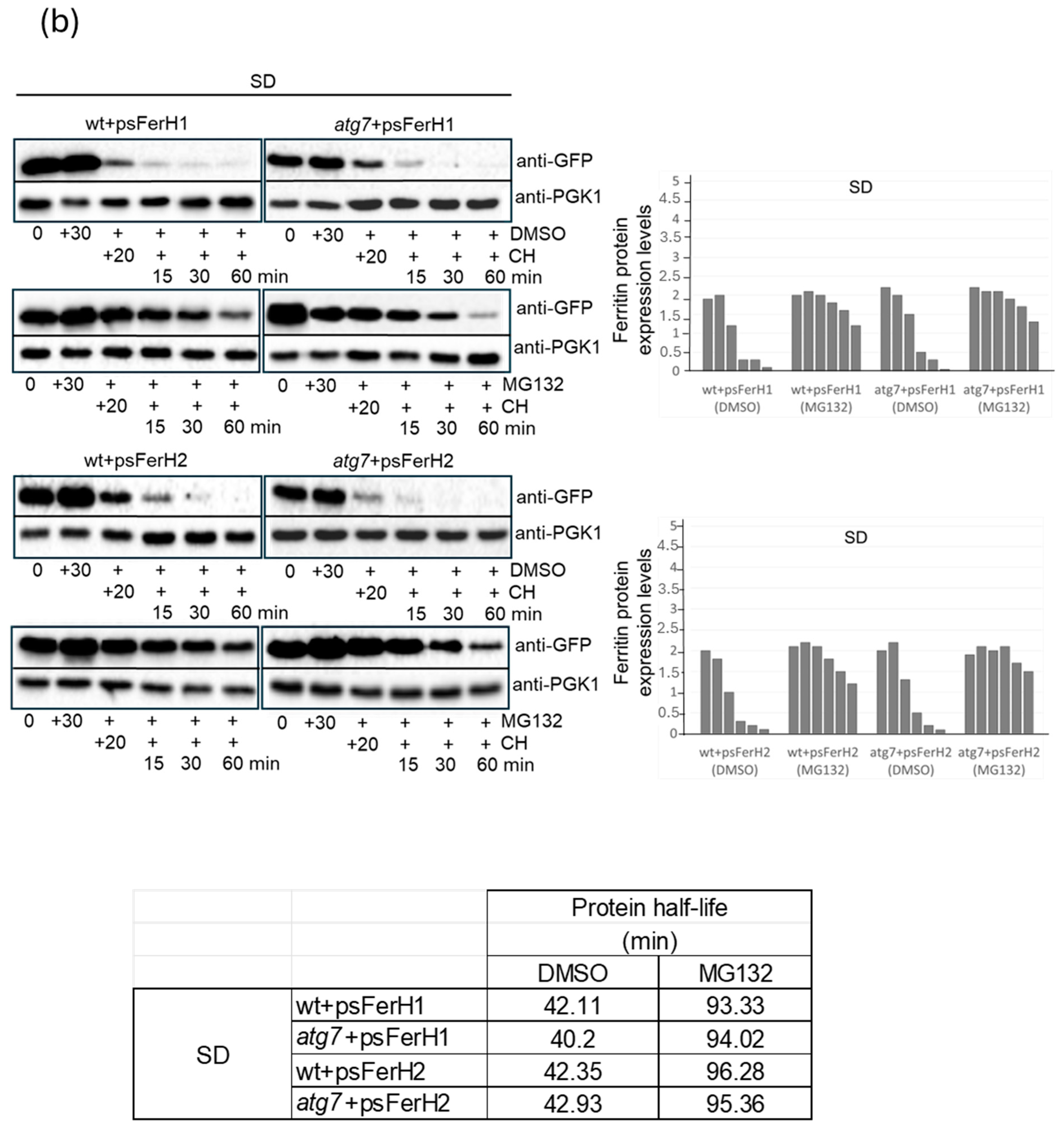 Biomolecules 15 00447 g003b