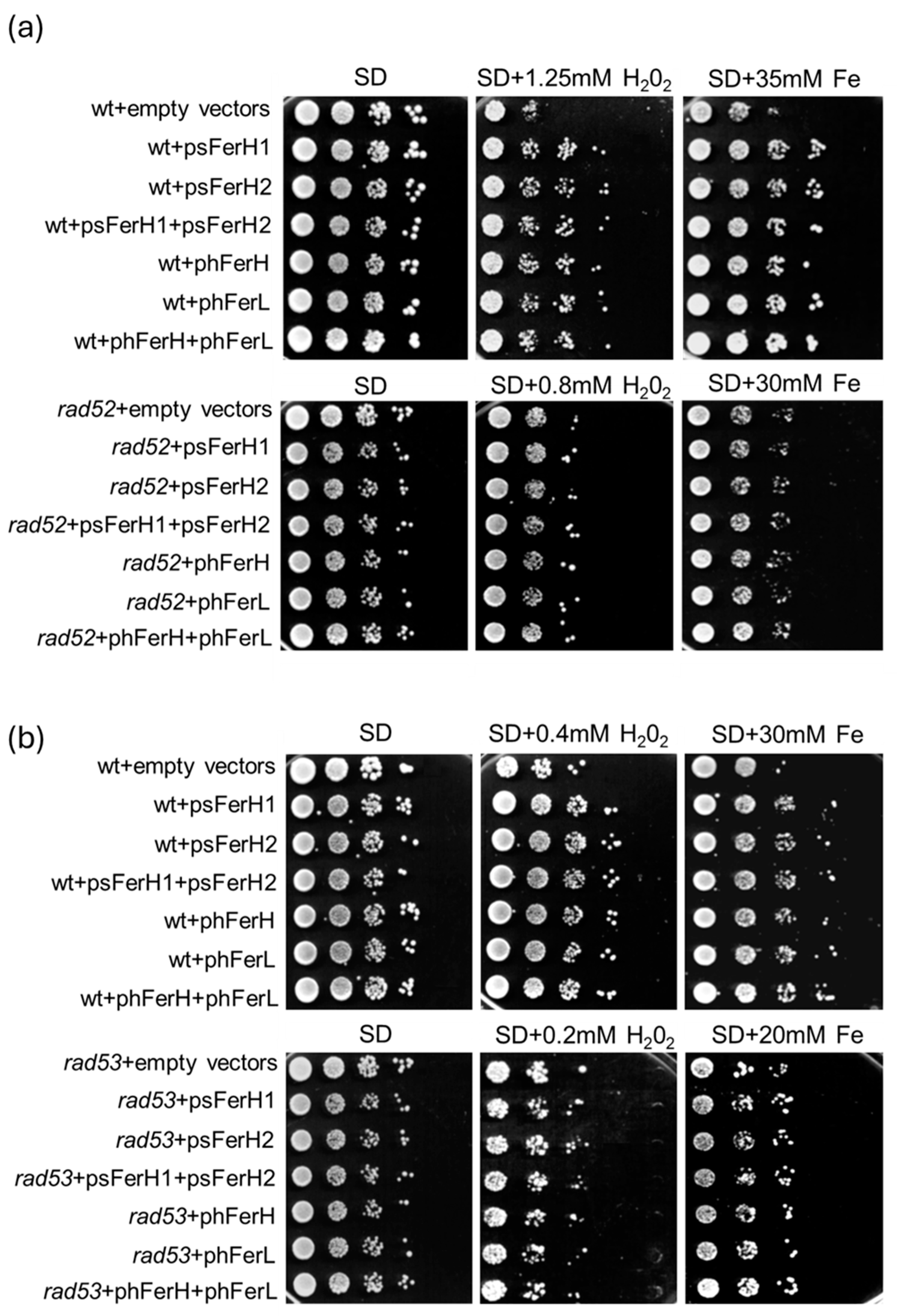 Biomolecules 15 00447 g005