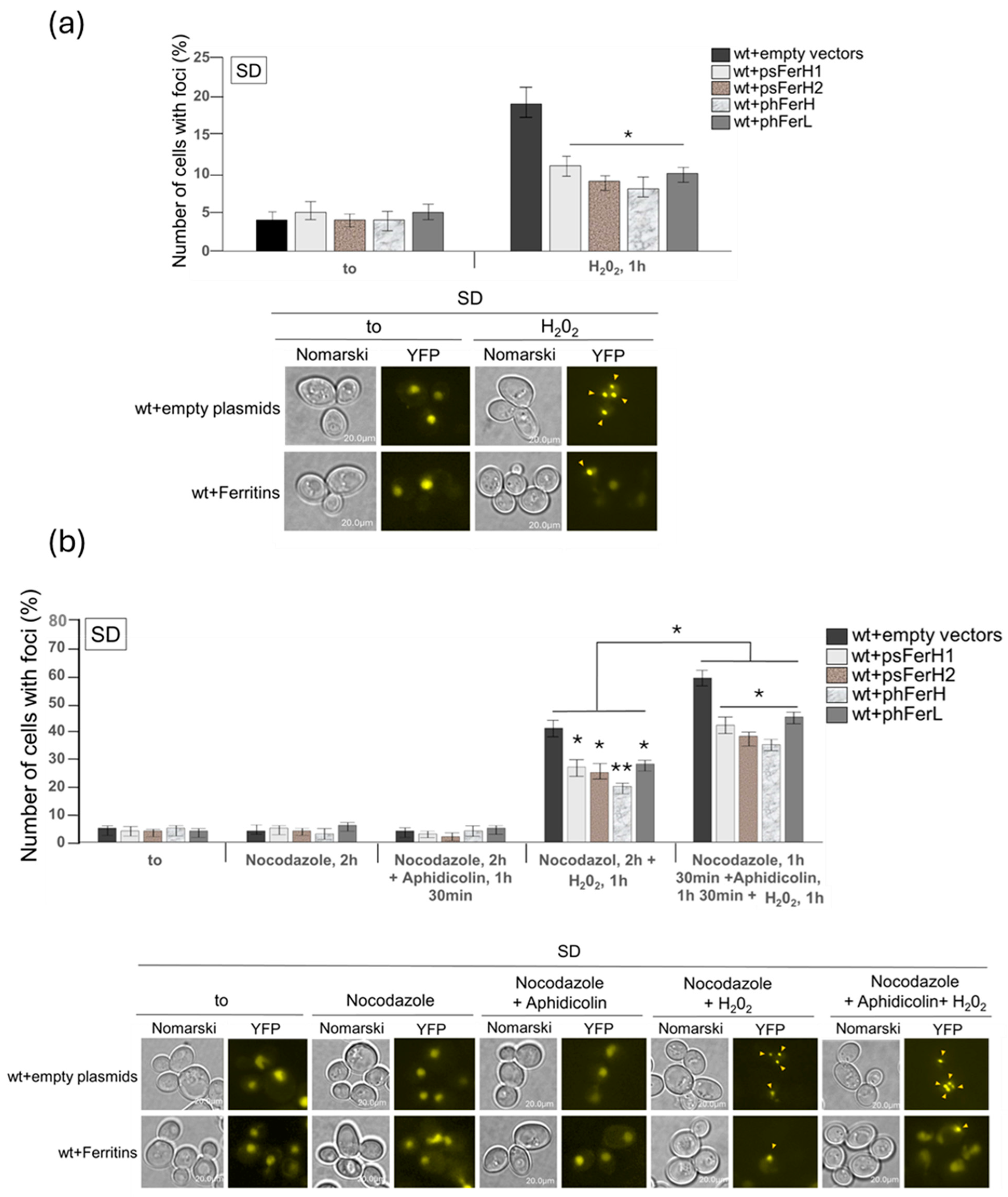 Biomolecules 15 00447 g006a