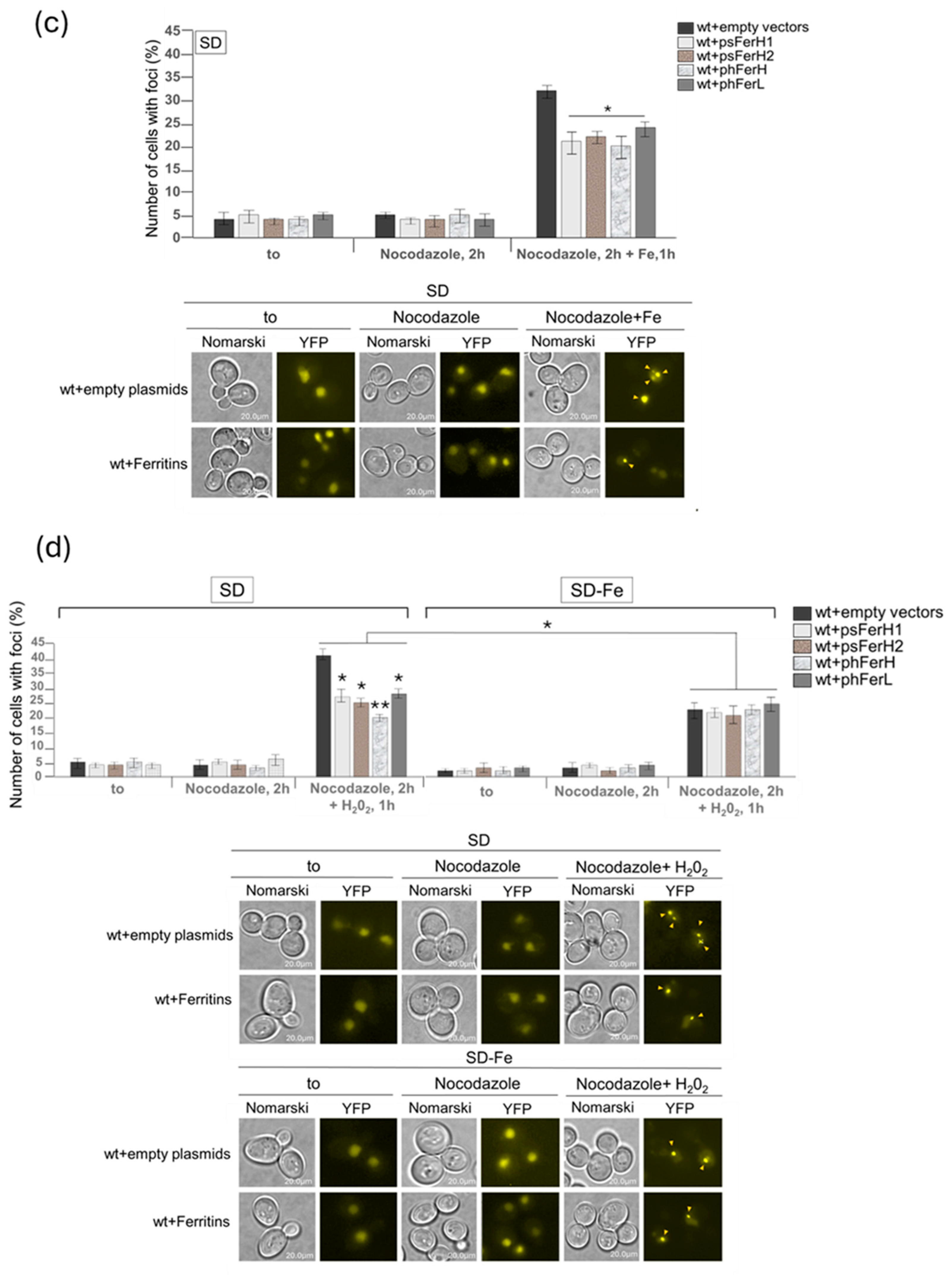 Biomolecules 15 00447 g006b