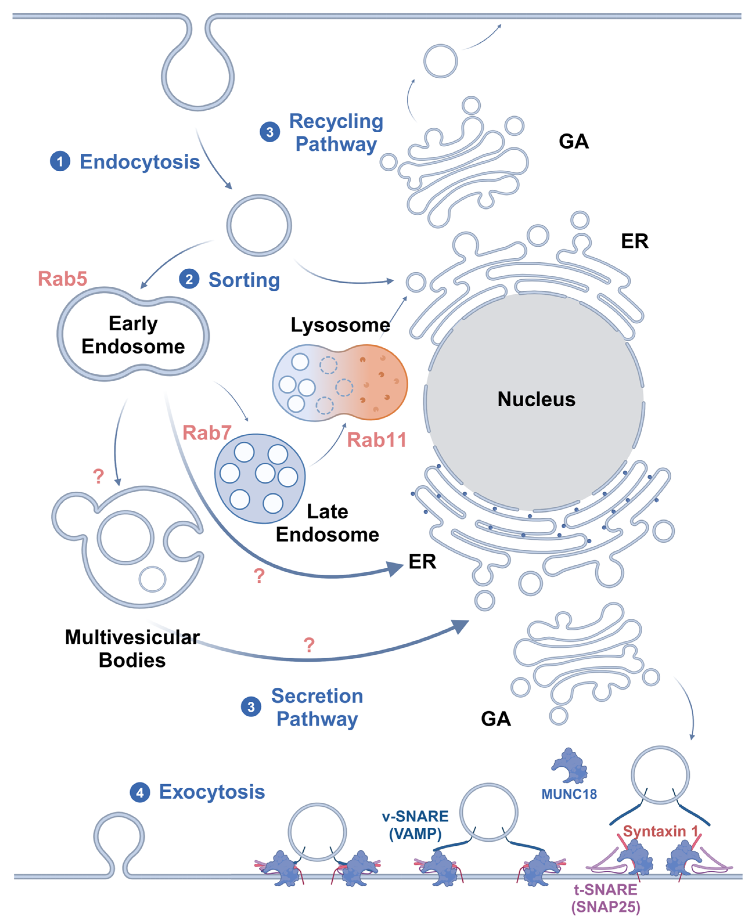Biomolecules 15 00456 g002