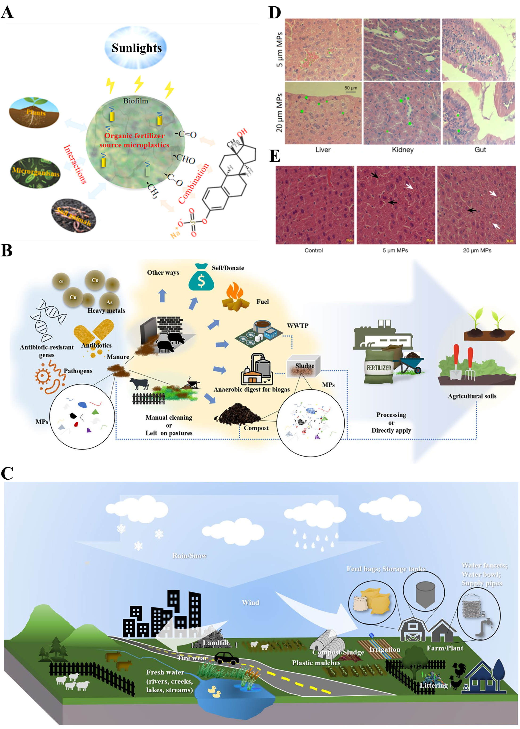 Biomolecules 15 00462 g002