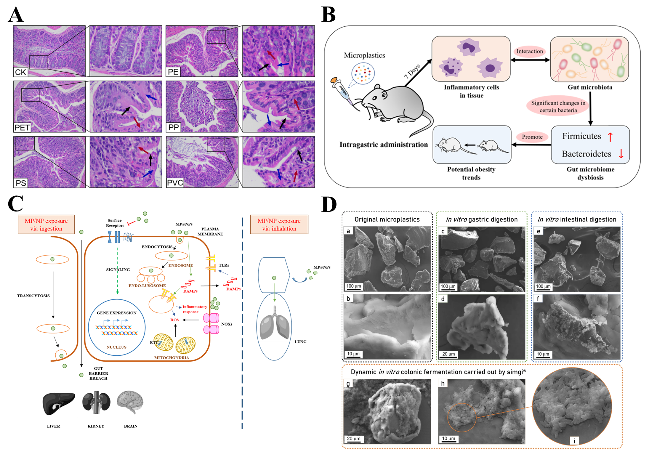 Biomolecules 15 00462 g003