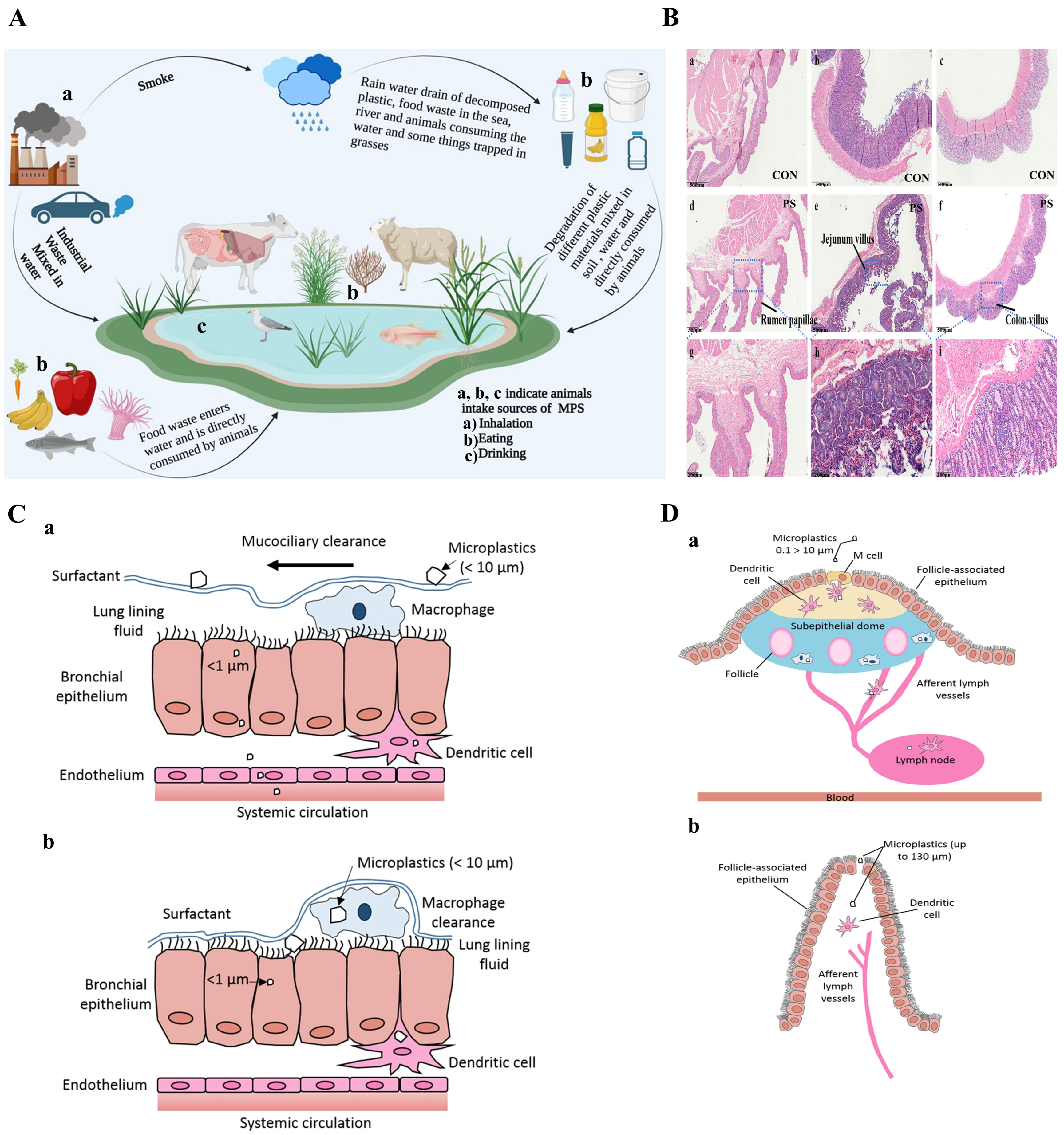 Biomolecules 15 00462 g005