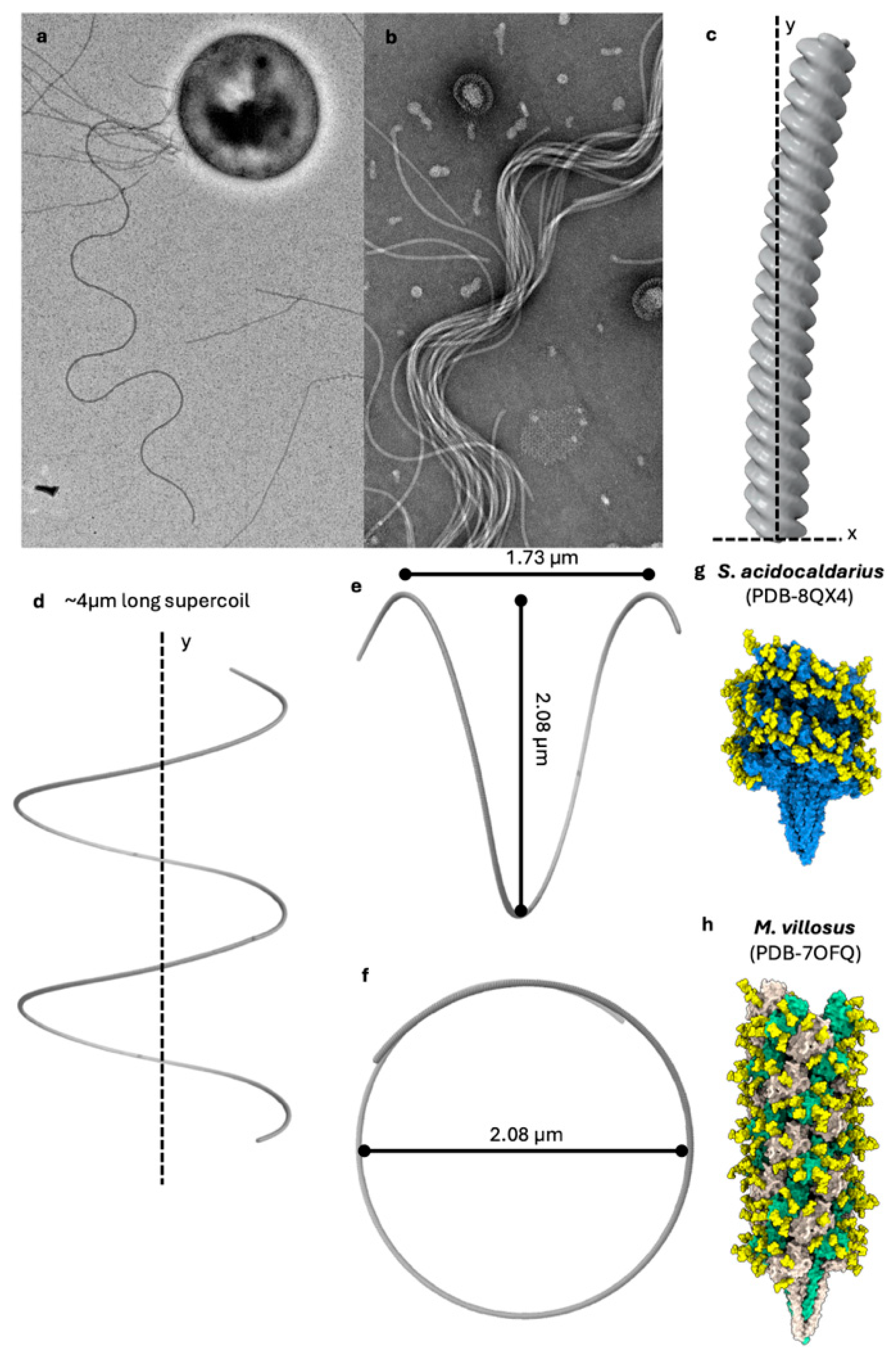 Biomolecules 15 00465 g002